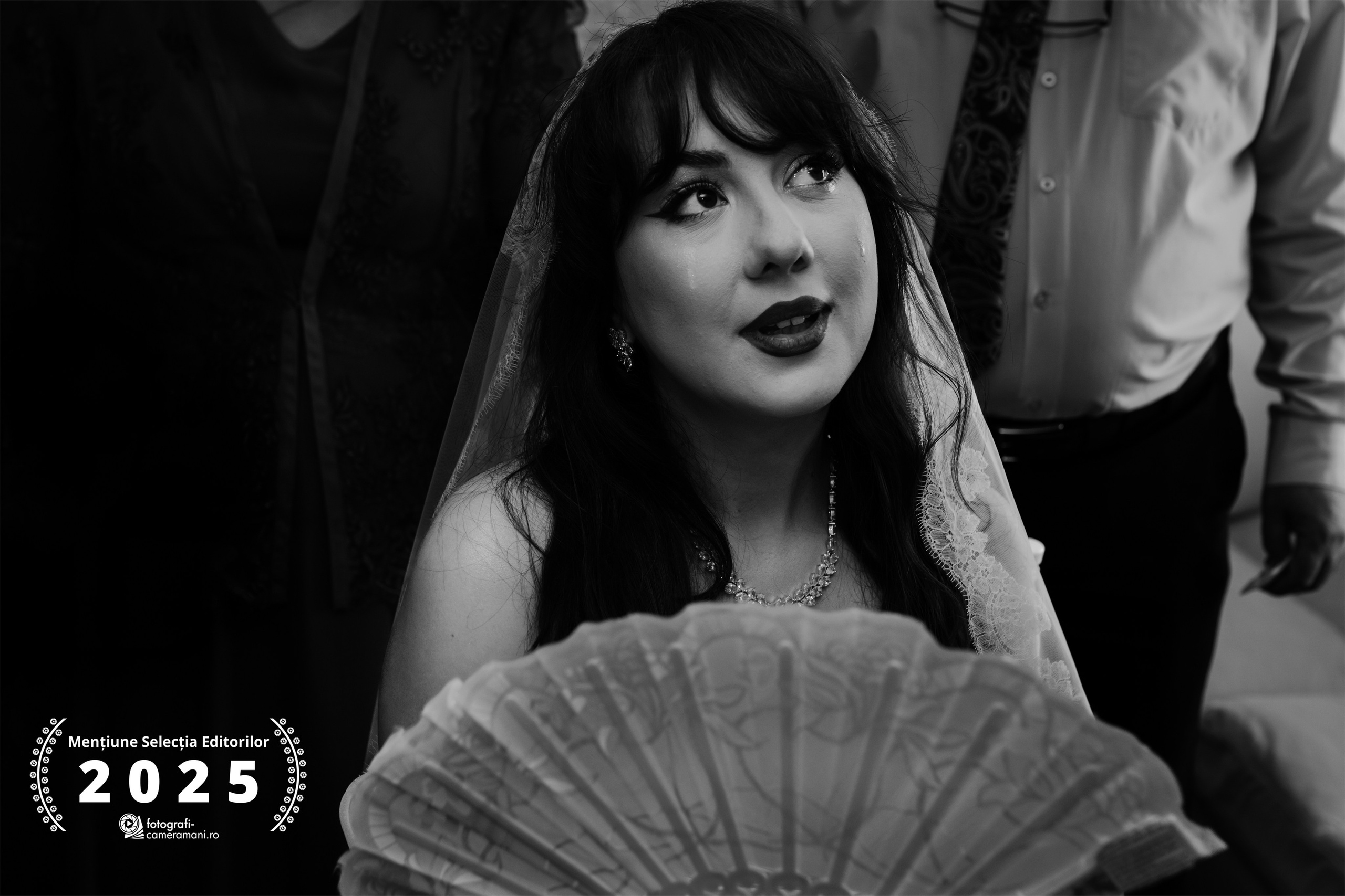 Awards. Stefan Teodorescu — Fotograf de Nunta