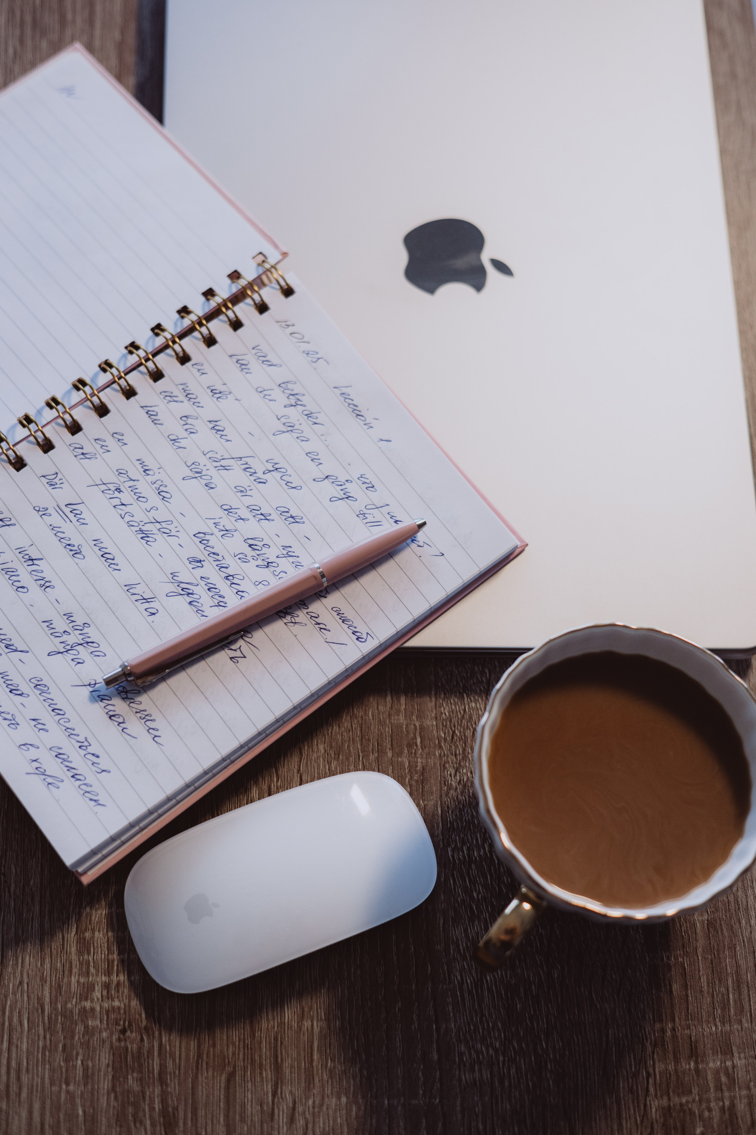 Photography Services in Stockholm | Family, Portrait & Love Story. Iryna Zhyvora | Photographer | Stockholm