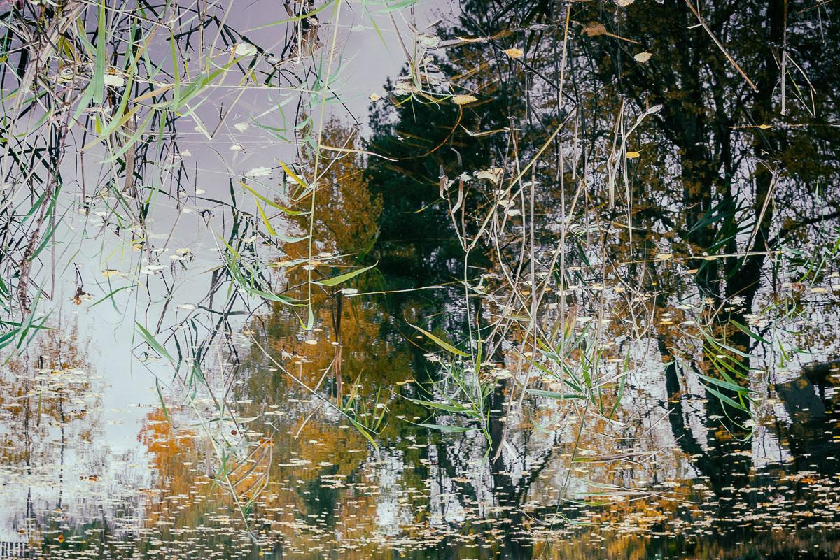 «ОСТАВЛЕННЫЙ» — город Припять после аварии на Чернобыле. Фотограф, коллекционер винтажных открыток и создатель историй на пересечении прошлого и личного. Ирина Дайнакова