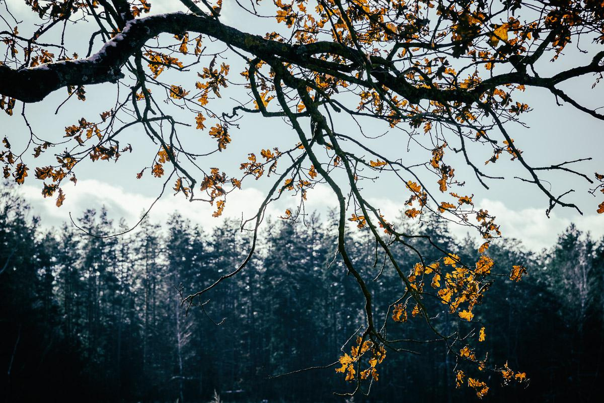 «ОСТАВЛЕННЫЙ» — город Припять после аварии на Чернобыле. Фотограф, коллекционер винтажных открыток и создатель историй на пересечении прошлого и личного. Ирина Дайнакова