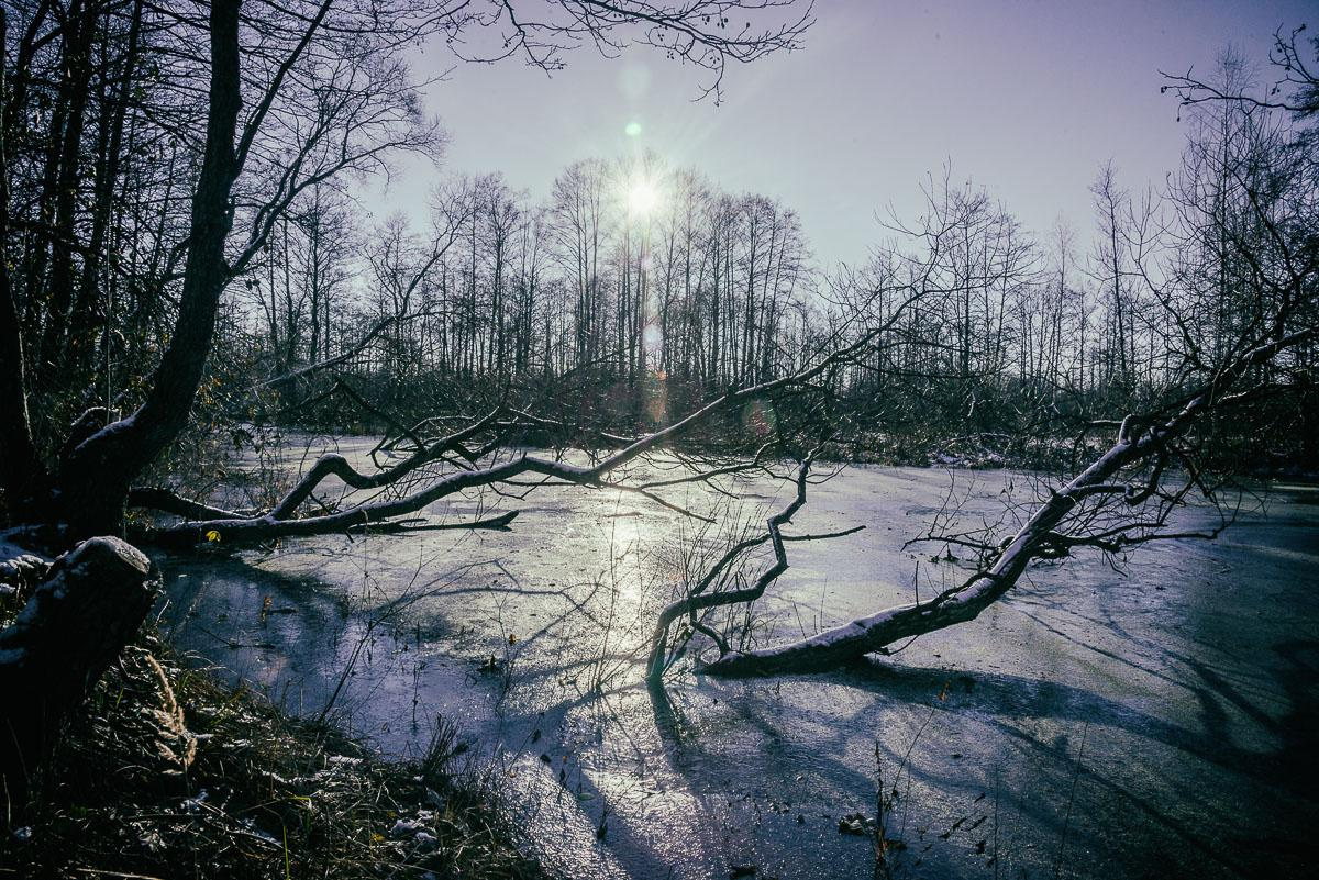 «ОСТАВЛЕННЫЙ» — город Припять после аварии на Чернобыле. Фотограф, коллекционер винтажных открыток и создатель историй на пересечении прошлого и личного. Ирина Дайнакова