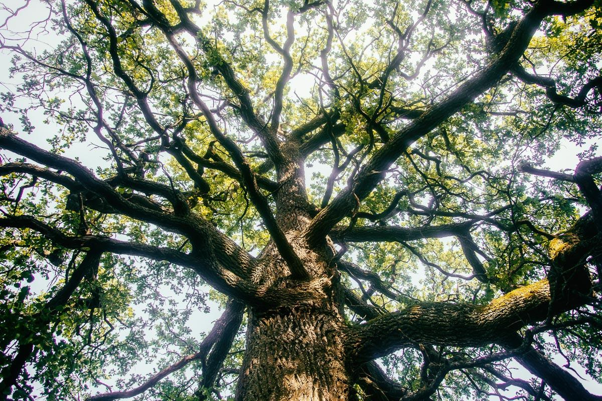 «ОСТАВЛЕННЫЙ» — город Припять после аварии на Чернобыле. Фотограф, коллекционер винтажных открыток и создатель историй на пересечении прошлого и личного. Ирина Дайнакова