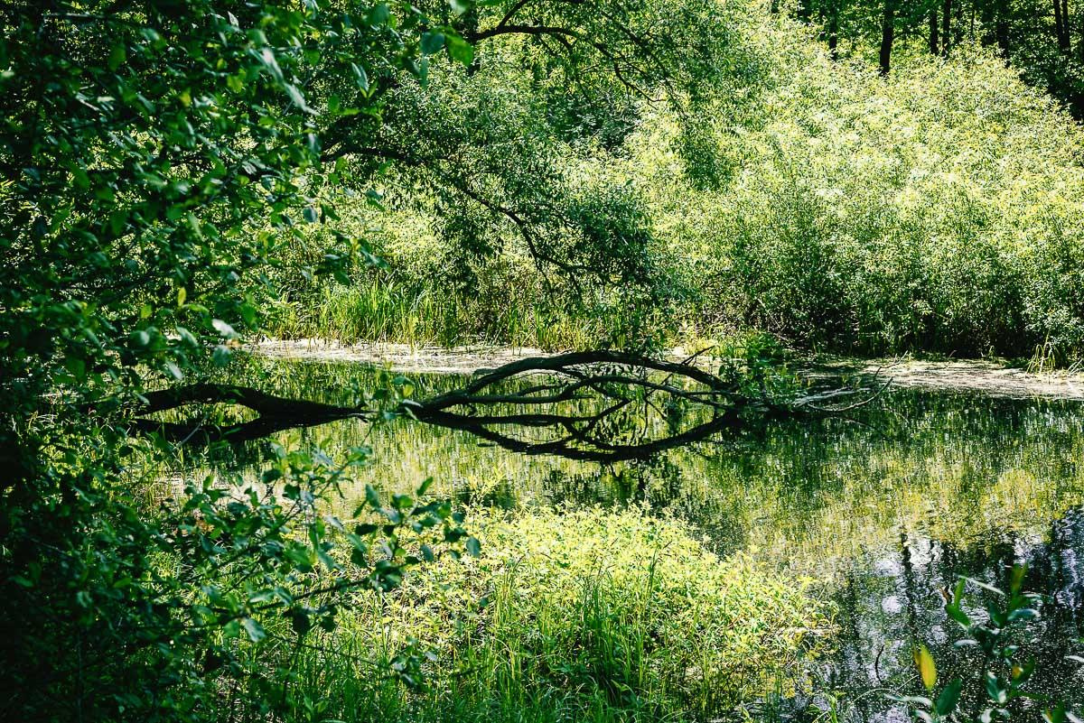 «ОСТАВЛЕННЫЙ» — город Припять после аварии на Чернобыле. Фотограф, коллекционер винтажных открыток и создатель историй на пересечении прошлого и личного. Ирина Дайнакова