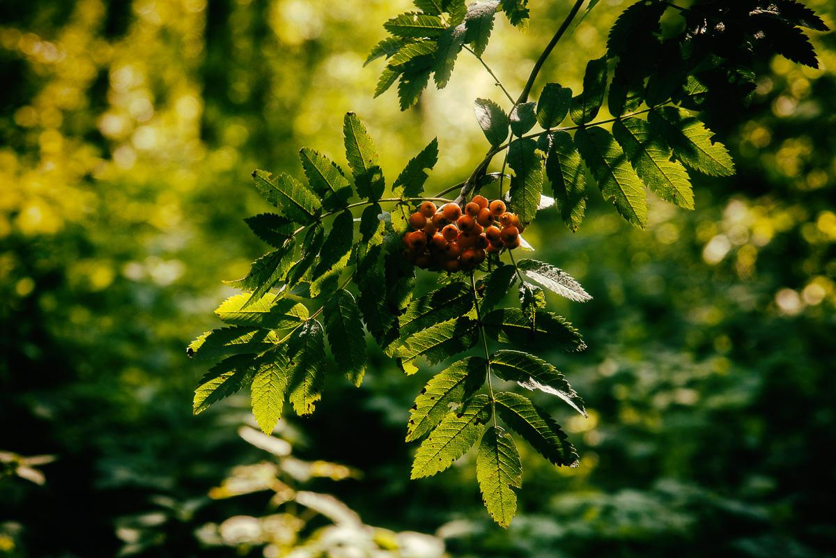 «ОСТАВЛЕННЫЙ» — город Припять после аварии на Чернобыле. Фотограф, коллекционер винтажных открыток и создатель историй на пересечении прошлого и личного. Ирина Дайнакова