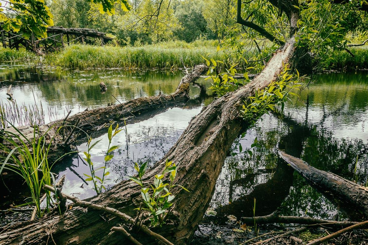 «ОСТАВЛЕННЫЙ» — город Припять после аварии на Чернобыле. Фотограф, коллекционер винтажных открыток и создатель историй на пересечении прошлого и личного. Ирина Дайнакова