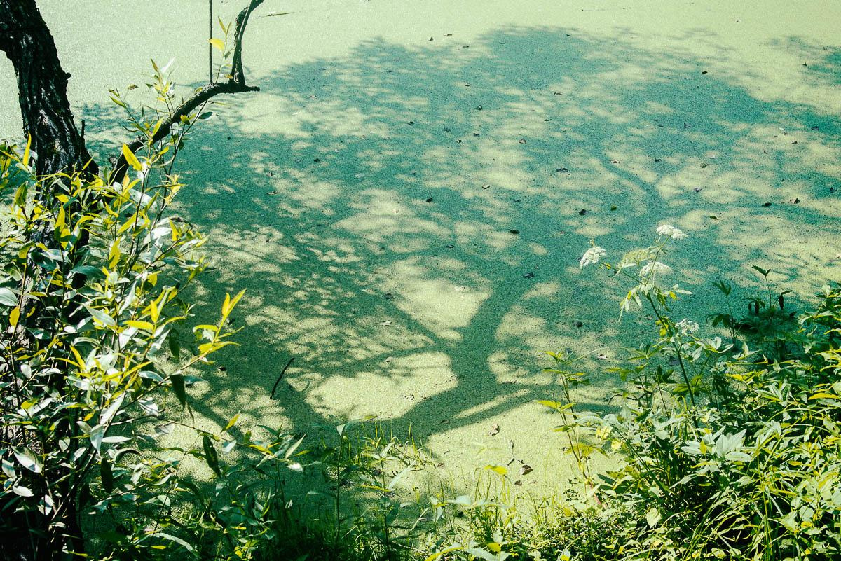 «ОСТАВЛЕННЫЙ» — город Припять после аварии на Чернобыле. Фотограф, коллекционер винтажных открыток и создатель историй на пересечении прошлого и личного. Ирина Дайнакова