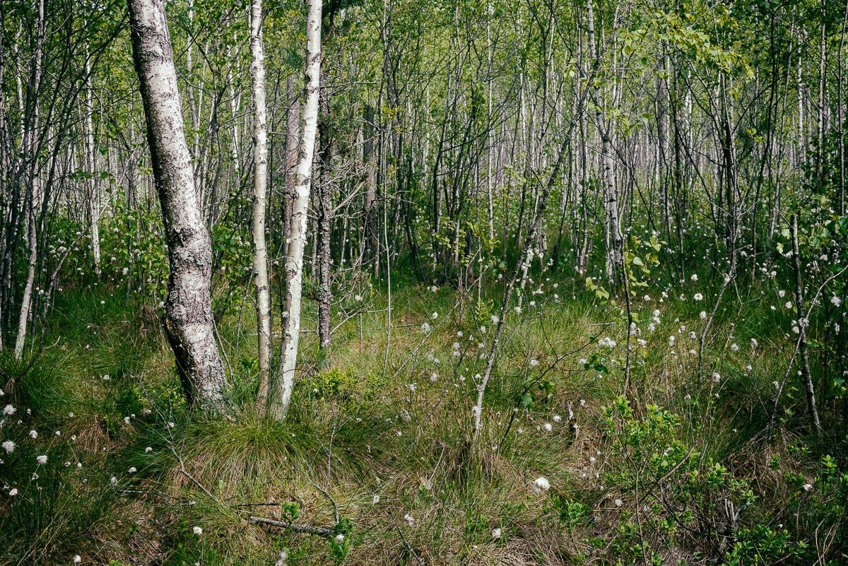 «ОСТАВЛЕННЫЙ» — город Припять после аварии на Чернобыле. Фотограф, коллекционер винтажных открыток и создатель историй на пересечении прошлого и личного. Ирина Дайнакова