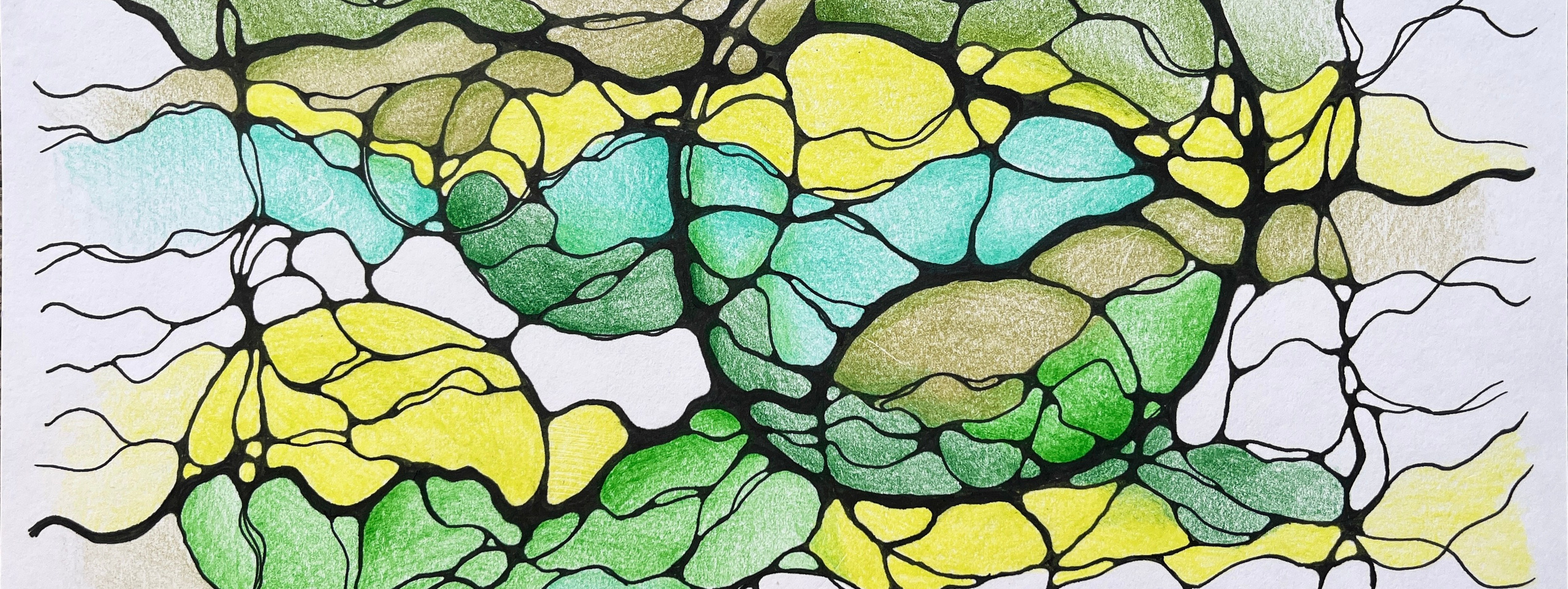 Nevrografika. Numerologija. Nevrografika. Delavnice