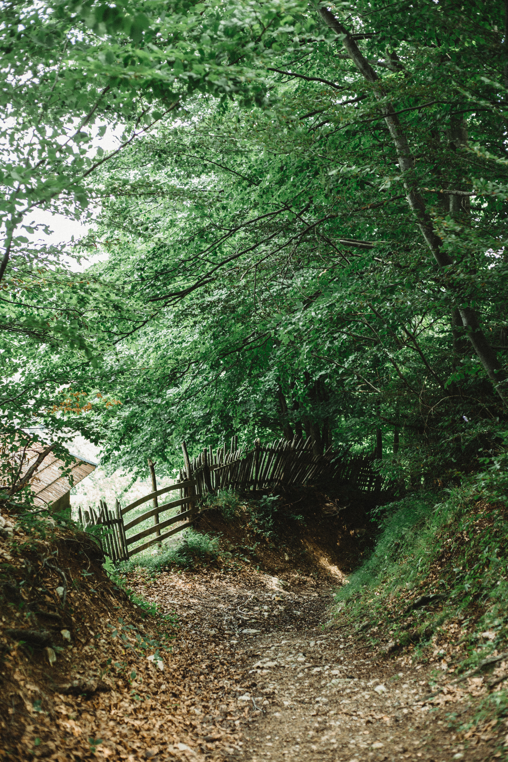 Potraga za svojim korenima. Mark Smilyanic | Portretni boudoir fotograf iz Beograda
