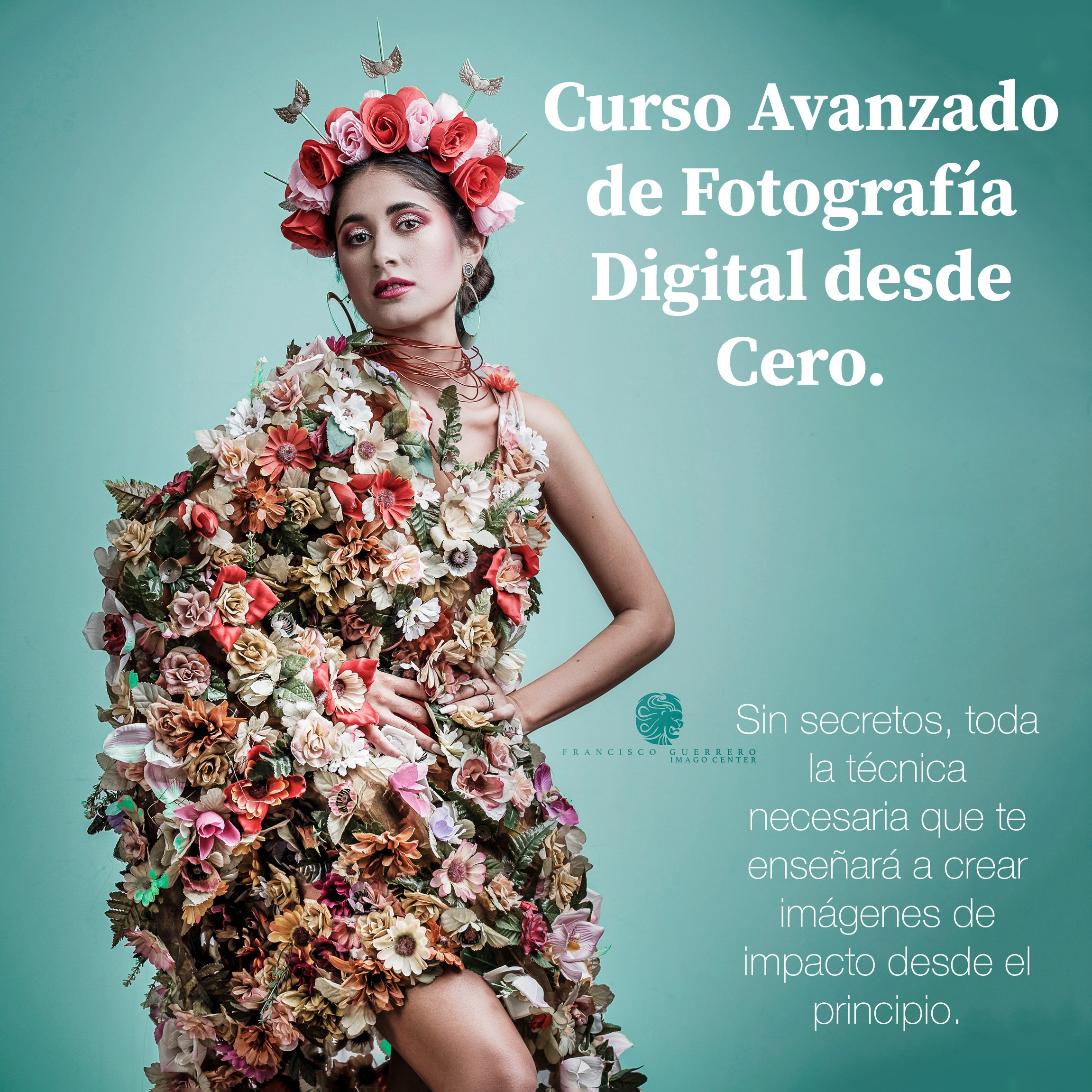 Сurso definitivo para dominar la fotografía paso a paso