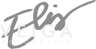 elisveiga.com