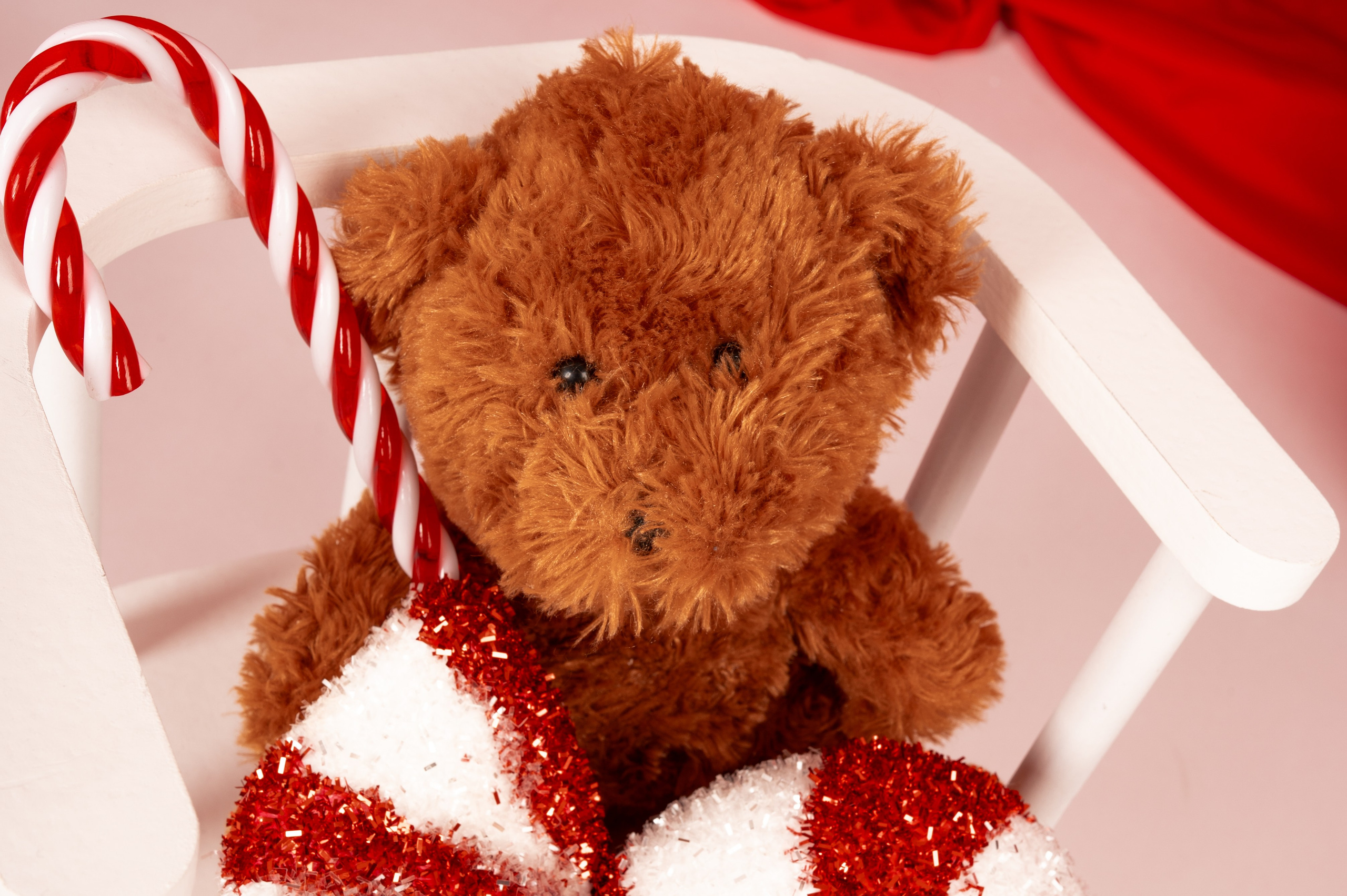 Novogodišnje fotografisanje 25/26. Dečiji i porodični fotograf Crna Gora — Elena Bjelobrković Photography