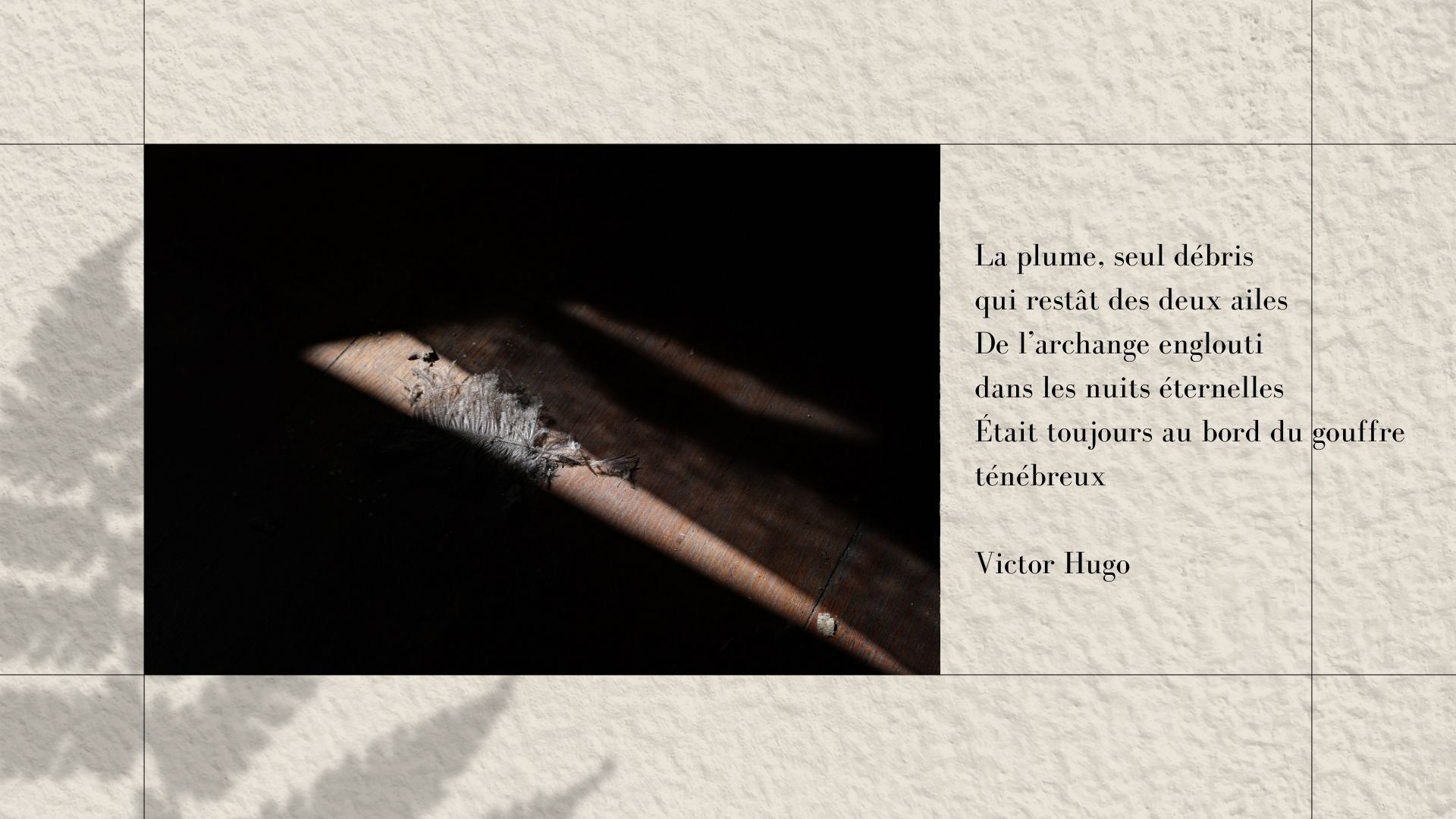 Maison au bois dormant. Natalia Bogdanovska. Films et photographie corporate en France