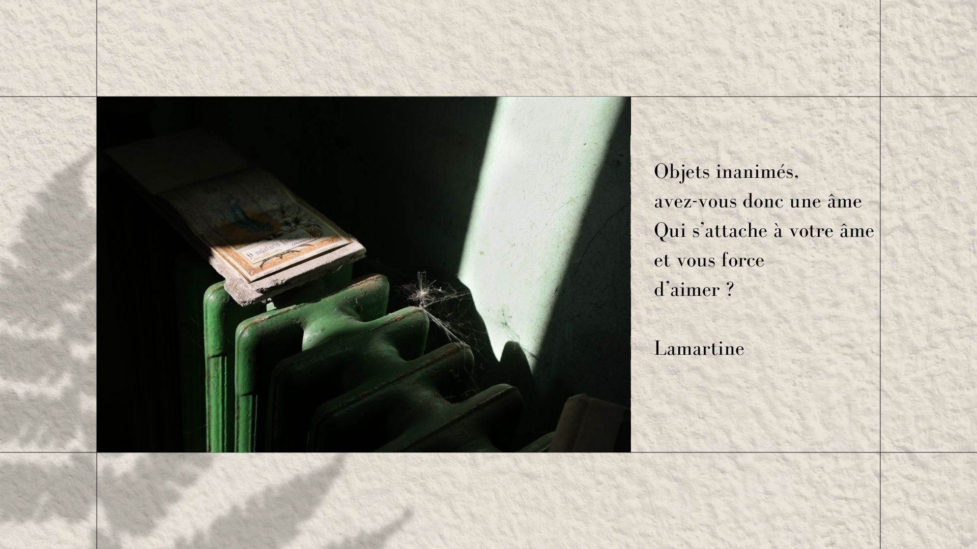 Maison au bois dormant. Natalia Bogdanovska. Films et photographie corporate en France