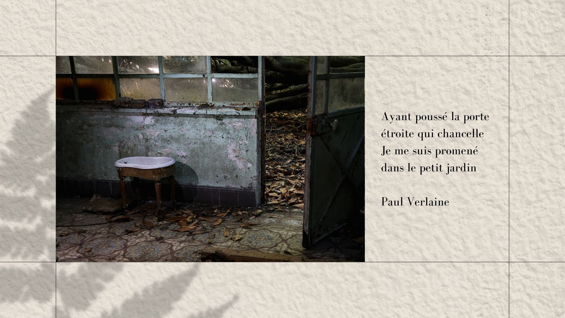 Maison au bois dormant. Natalia Bogdanovska. Films et photographie corporate en France