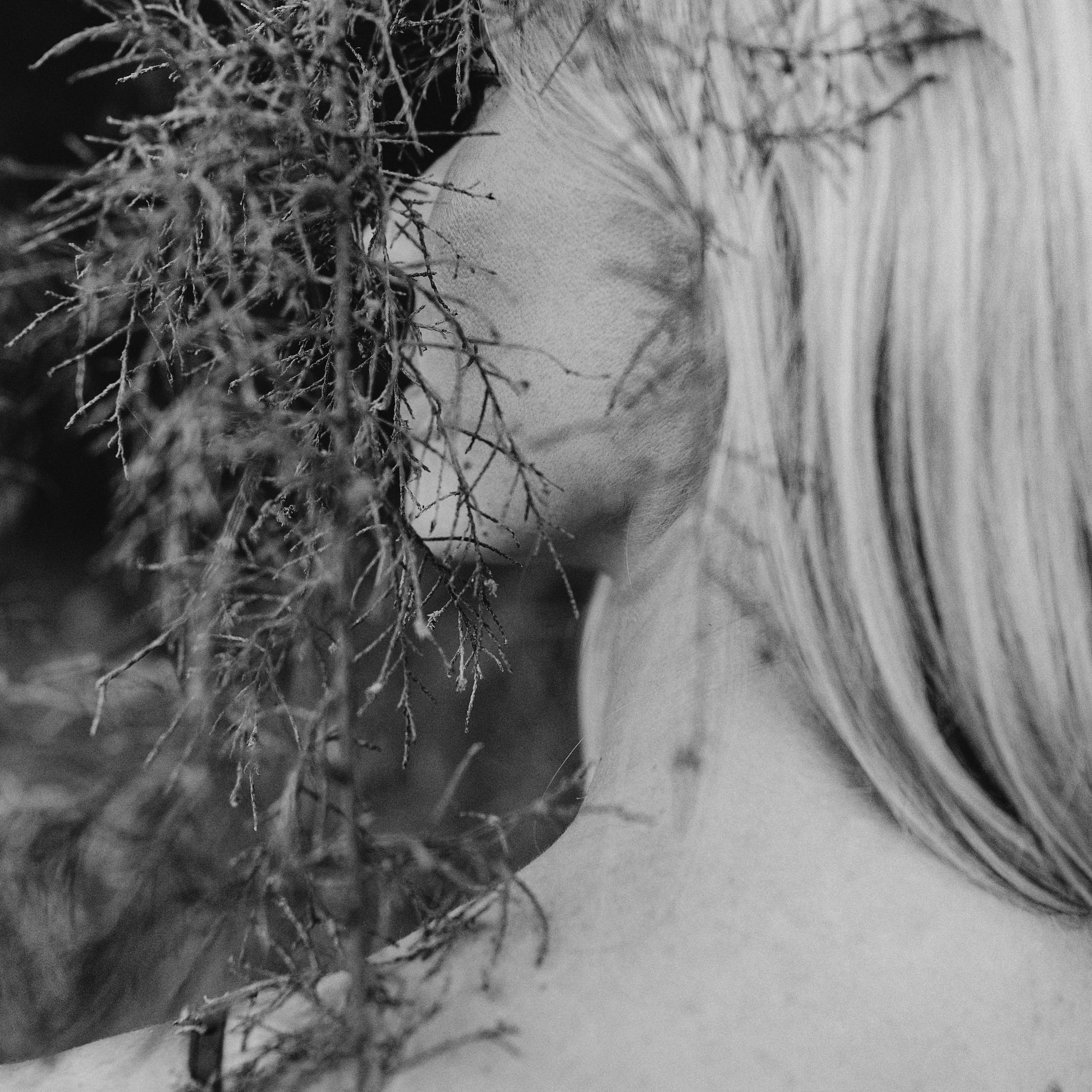 Fotógrafo en Tenerife Edgar Zubarev