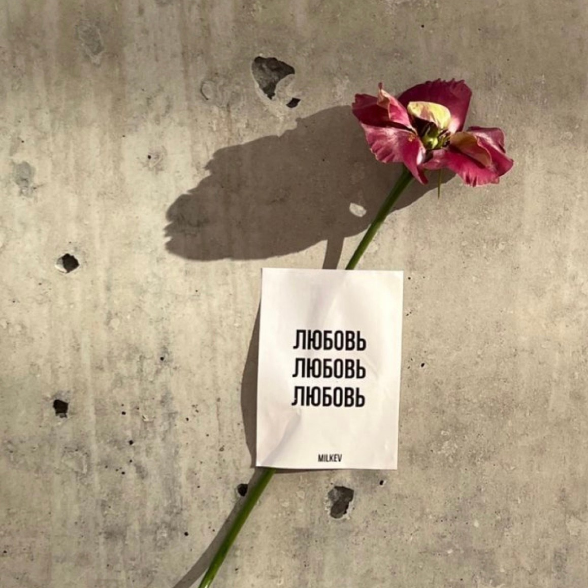 Boutique. Photographe professionnelle de la ville d’Auxerre - Ekaterina Mathieu