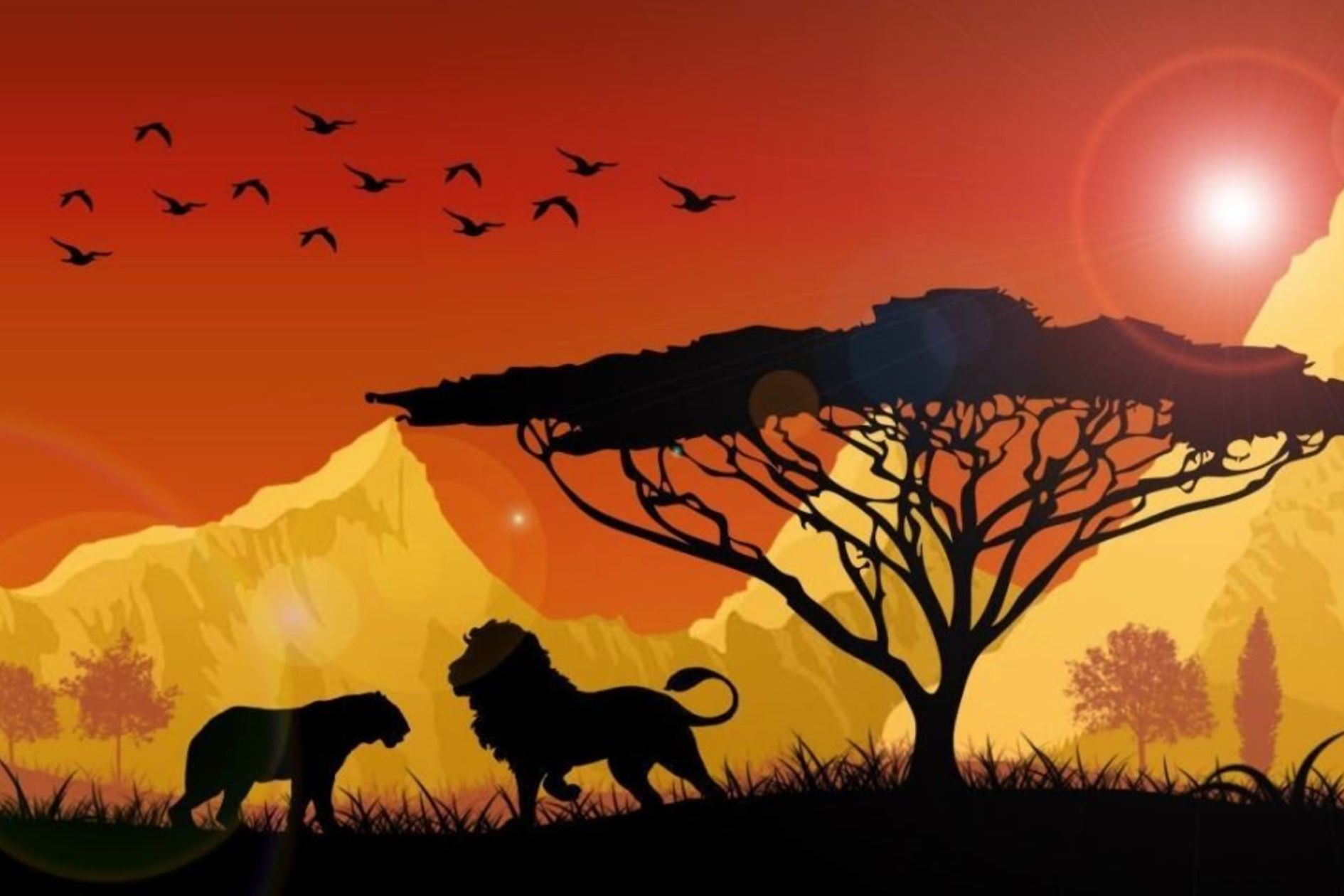 Семейные лагеря в Европе с Ниной Янечковой и Ириной Зиновьевой