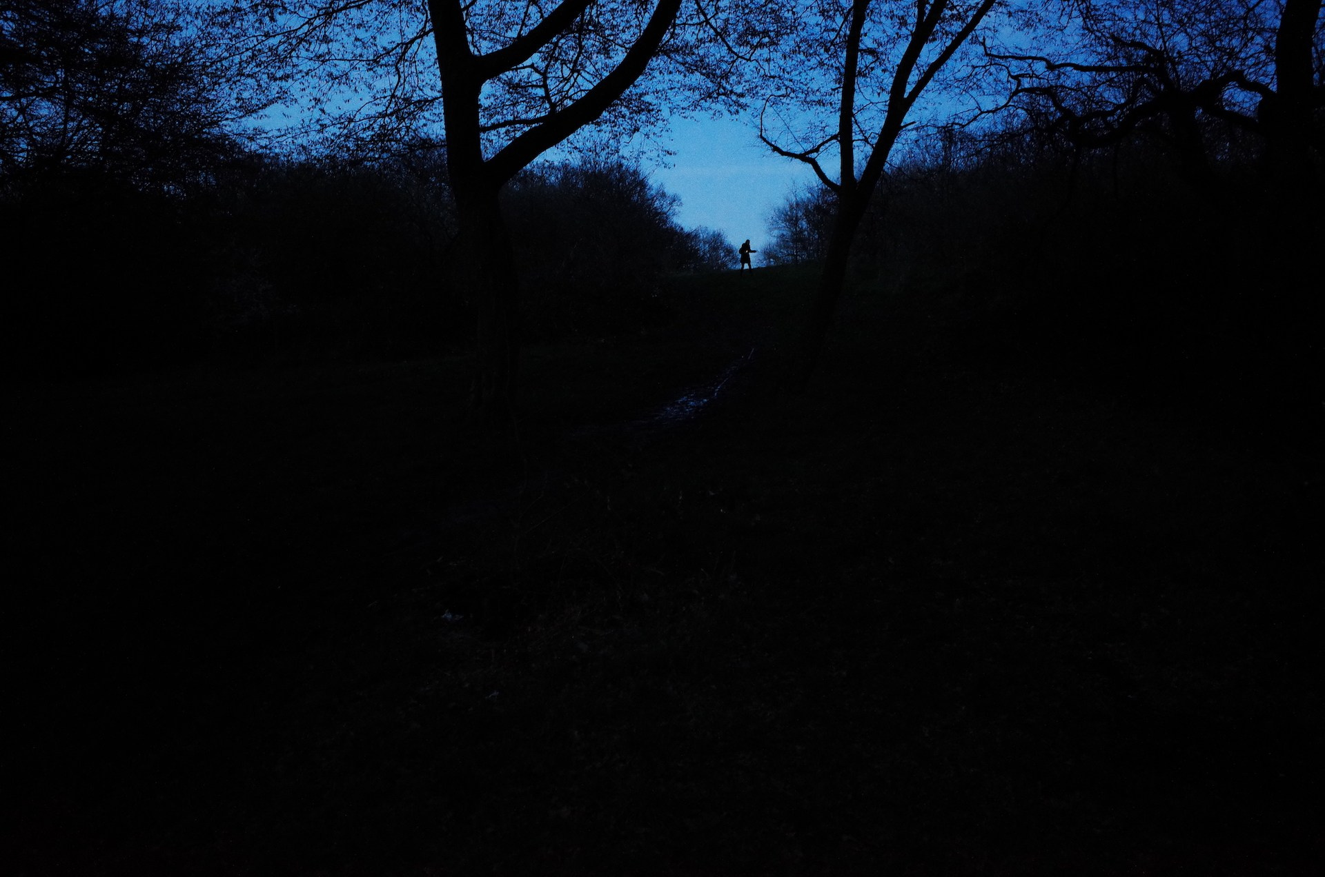 Aut Splash. Виктория Дини. Арт-фотография