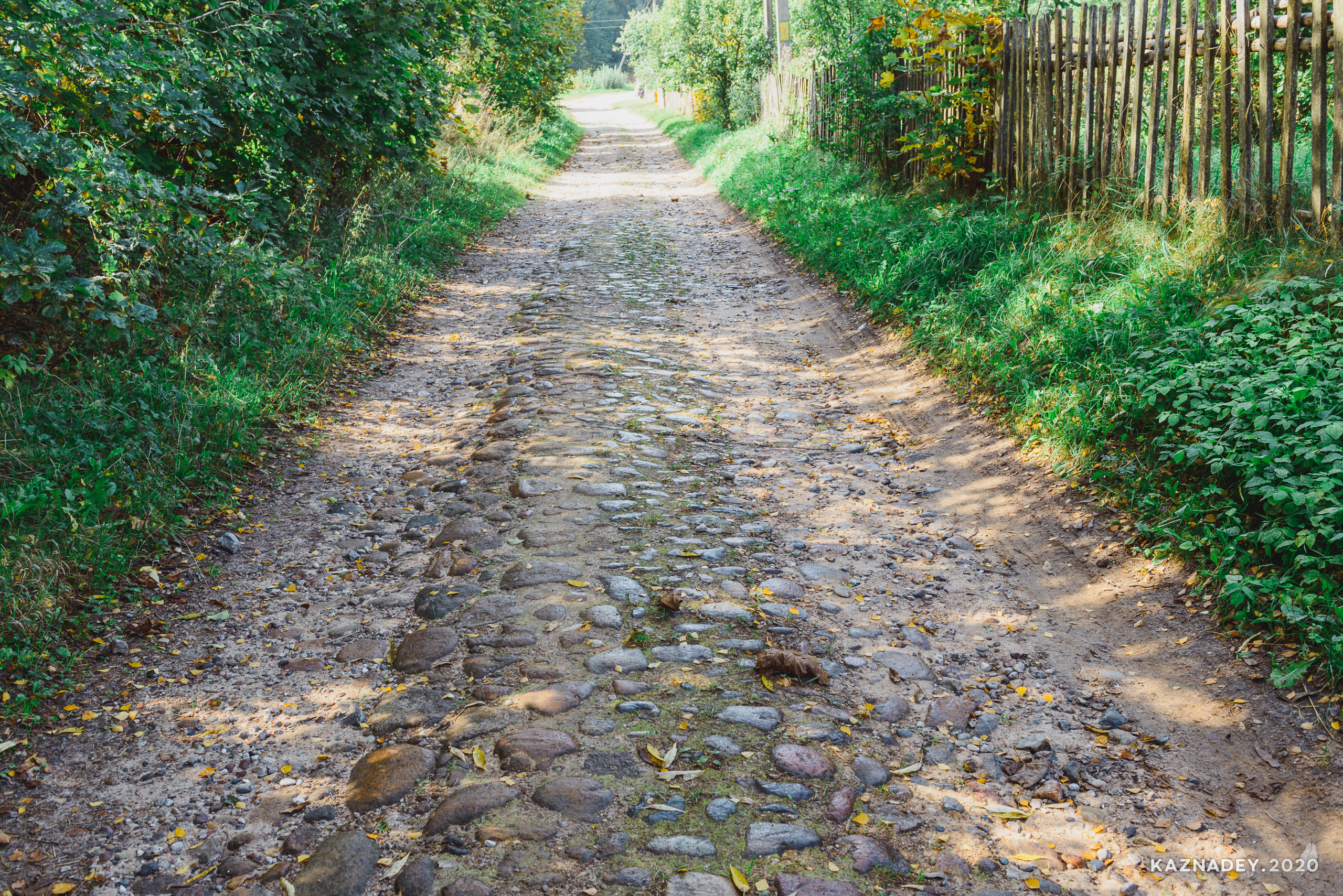 Дорога тишины, Алексей Казнадей, kaznadey