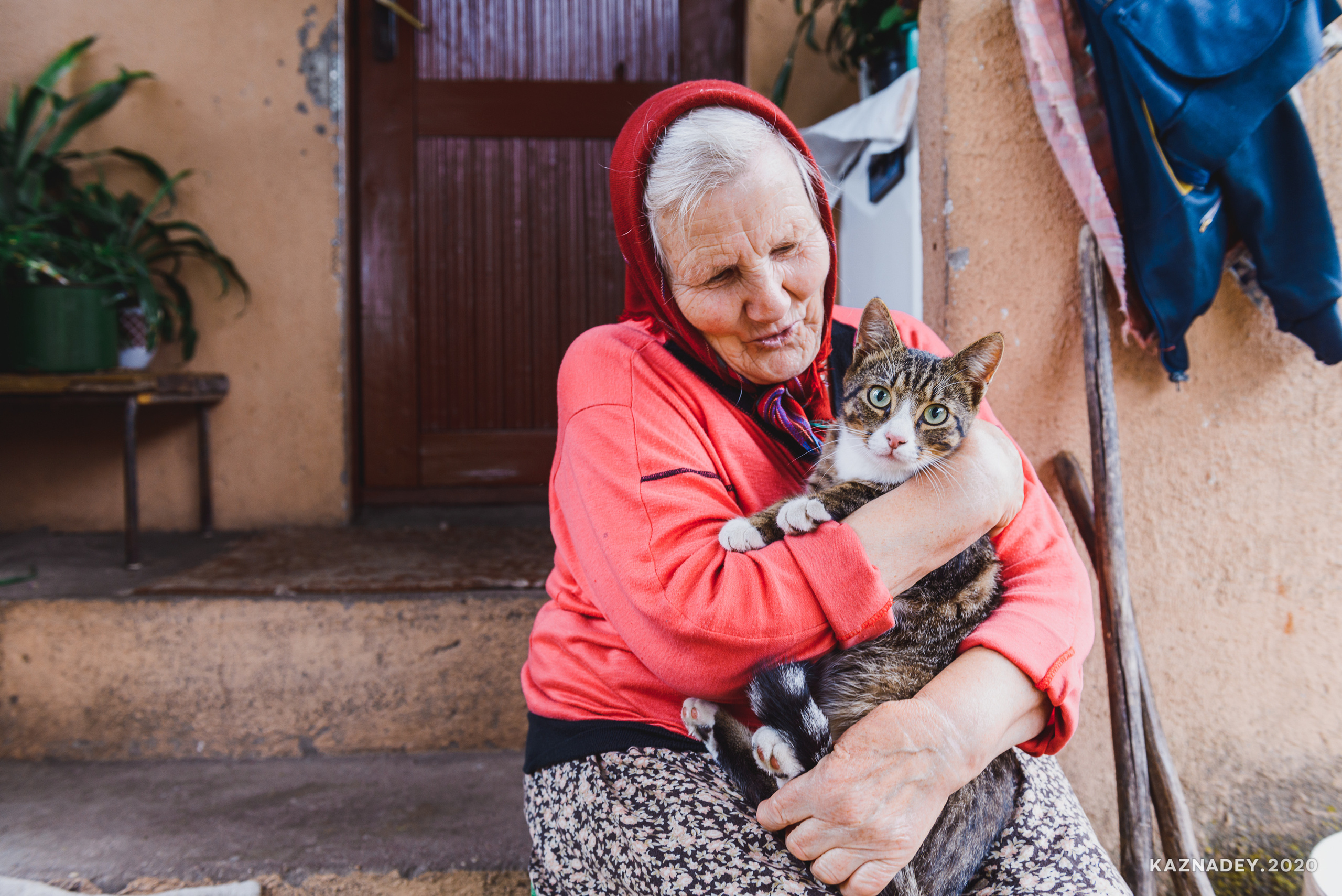 Дорога тишины, Алексей Казнадей, kaznadey