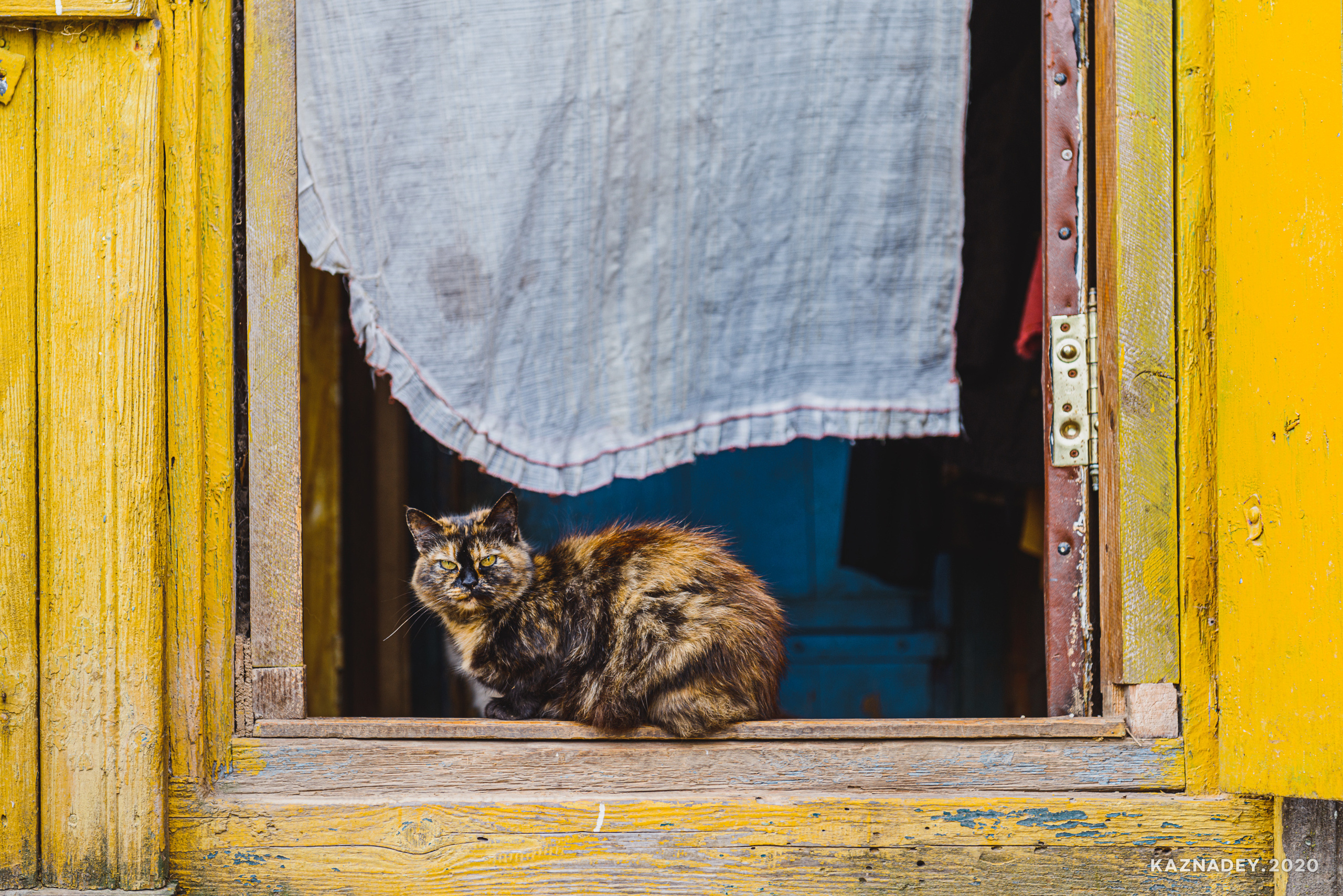 Дорога тишины, Алексей Казнадей, kaznadey