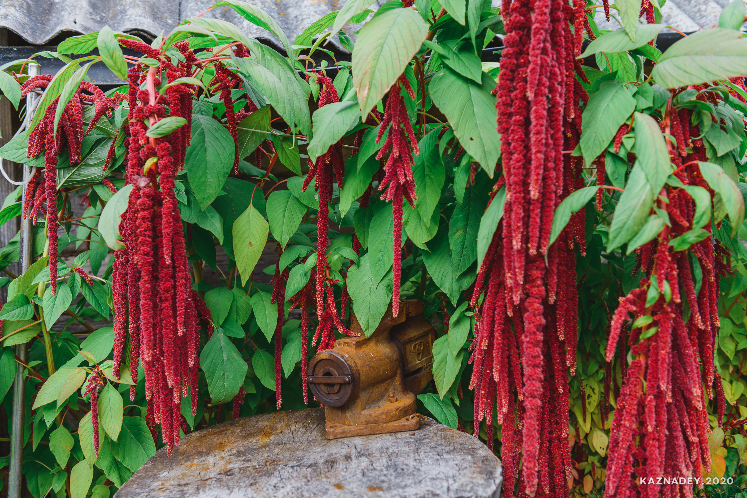 Дорога тишины, Алексей Казнадей, kaznadey, фотограф
