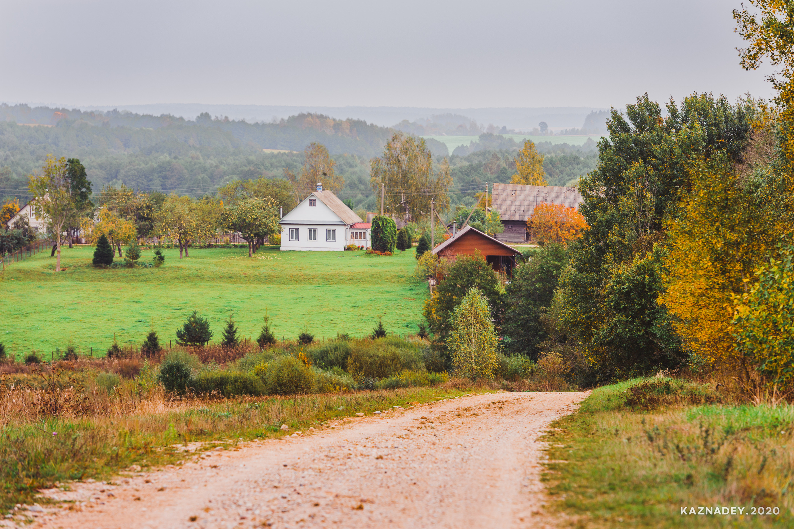 Дорога тишины, Алексей Казнадей, kaznadey