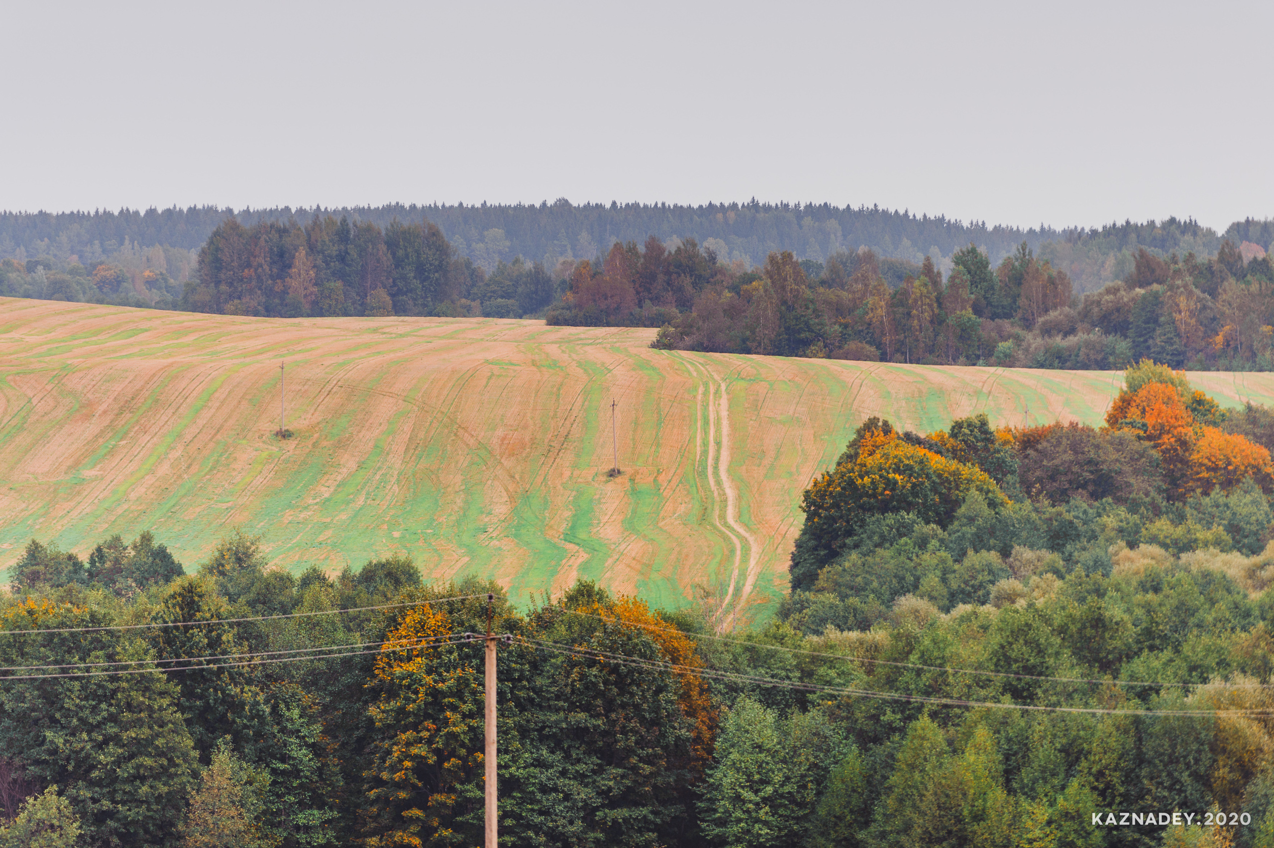 Дорога тишины, Алексей Казнадей, kaznadey