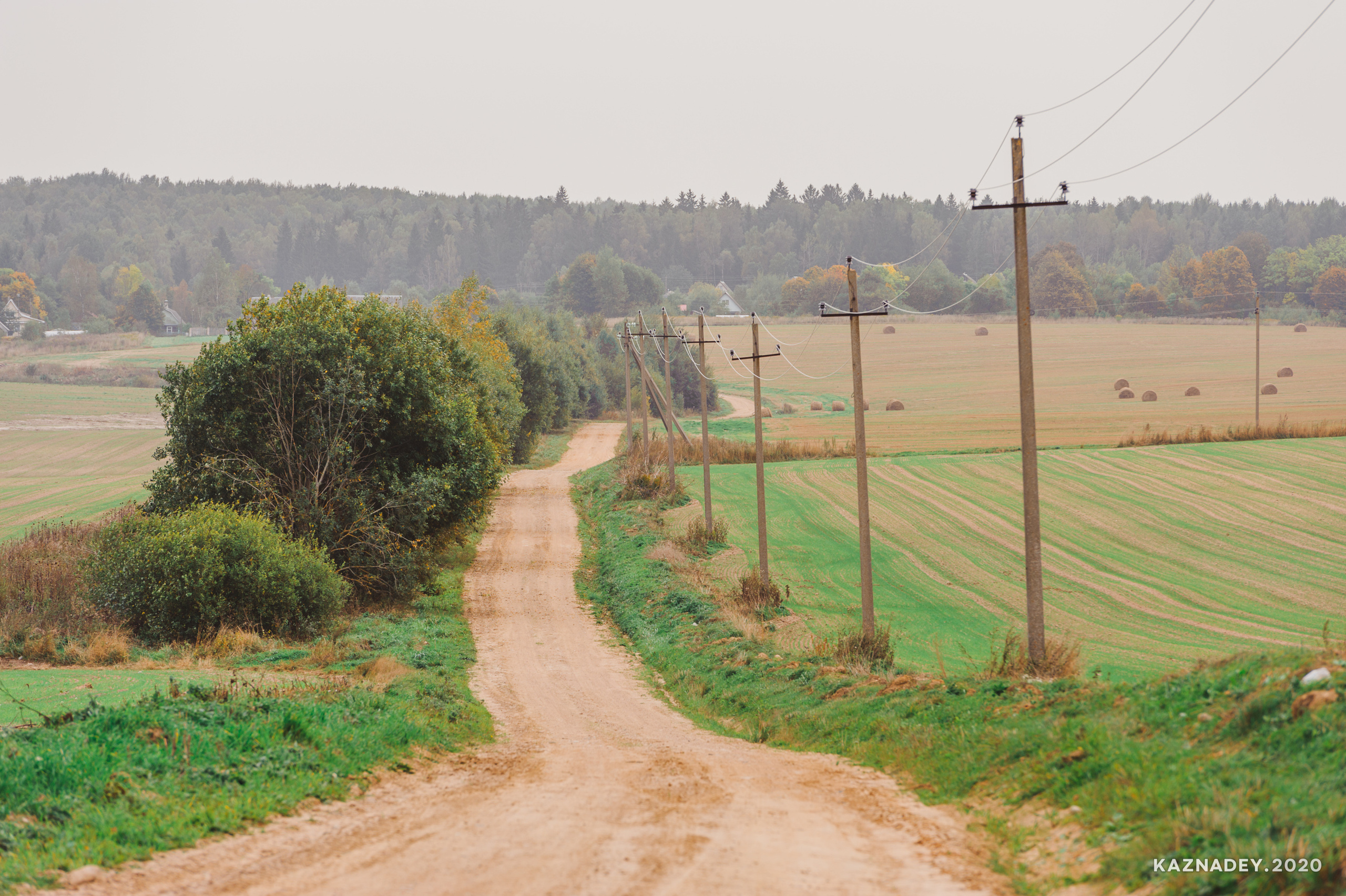 Дорога тишины, Алексей Казнадей, kaznadey