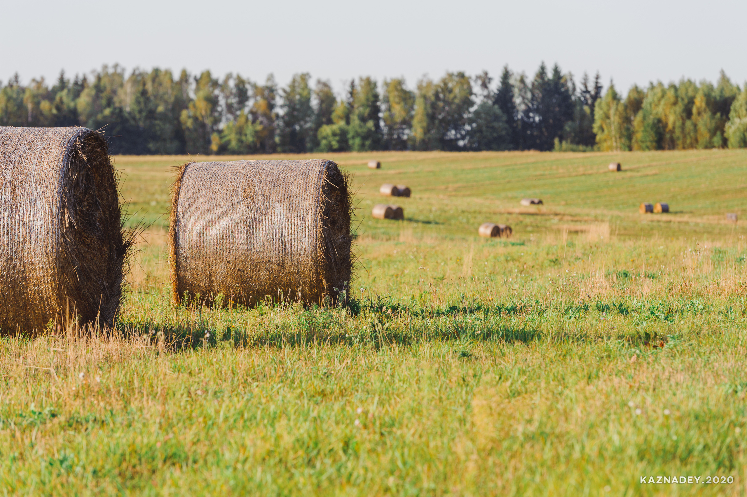 Дорога тишины, Алексей Казнадей, kaznadey