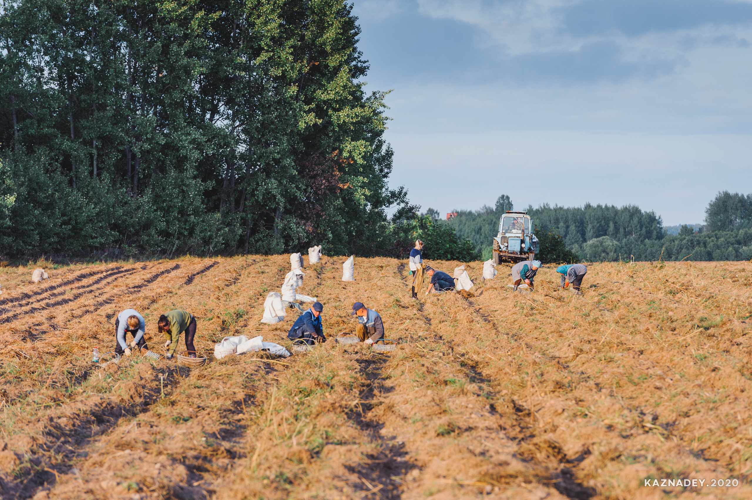 Дорога тишины, Алексей Казнадей, kaznadey