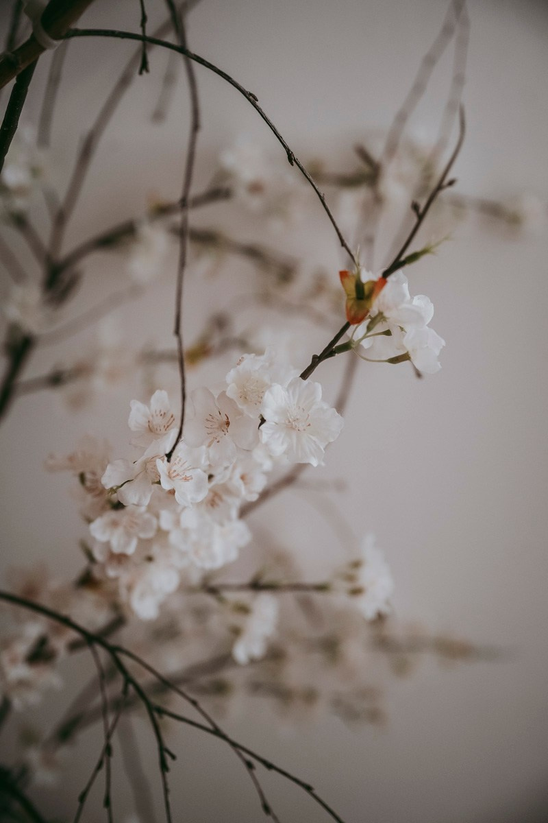 MAMINO. Deciji i porodicni fotograf u Beogradu Oksana Skendzic