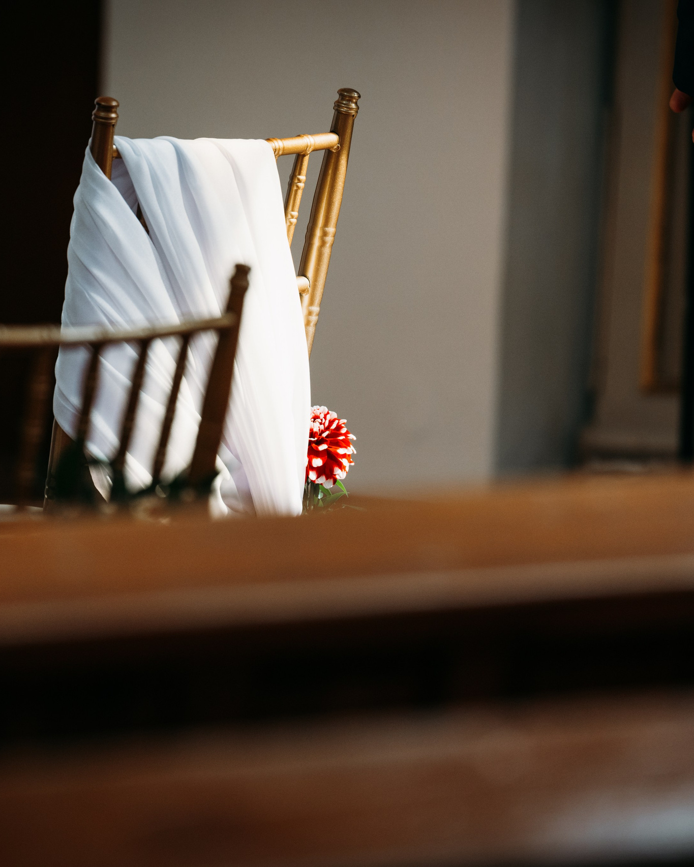 USŁUGI. Fotograf Poznan