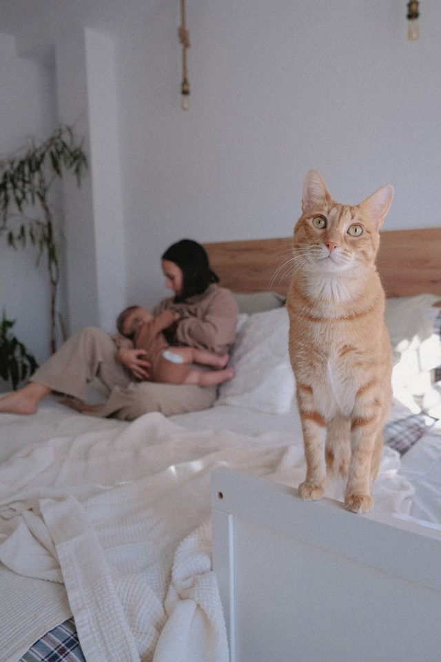 Precios. Fotógrafa infantil y de lactancia materna y maternidad en Barcelona