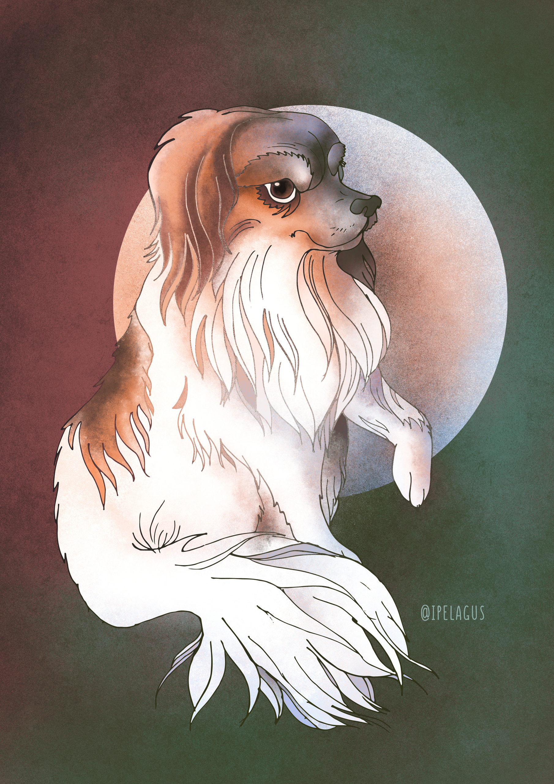 Portrait4donate – How I Tried to Help Koalas Through Art