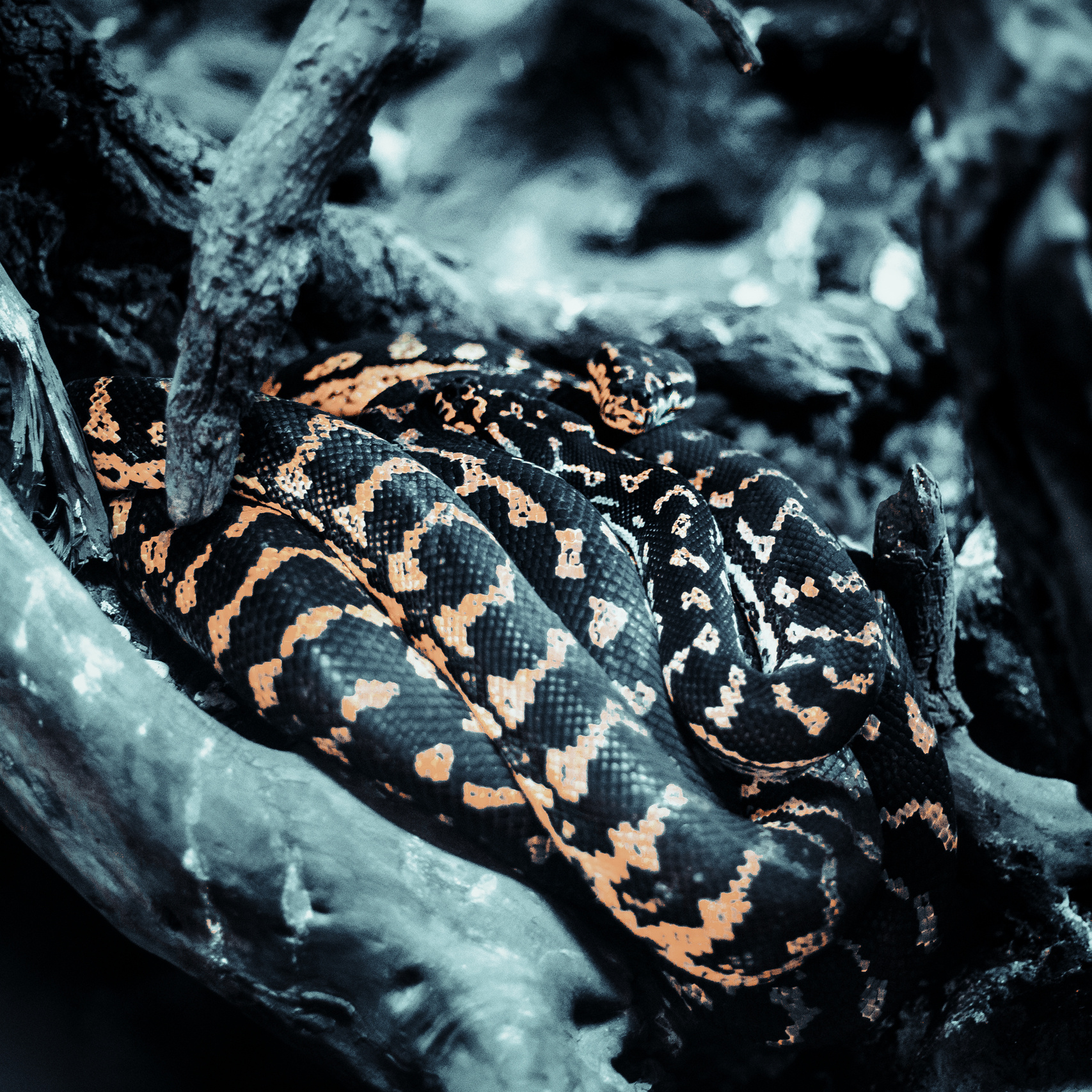 🏡. Mark Smilyanic | Portretni boudoir fotograf iz Beograda