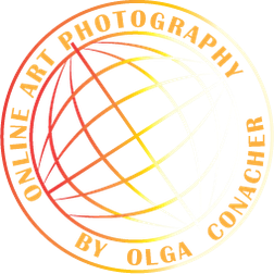 onlineartphotography.com