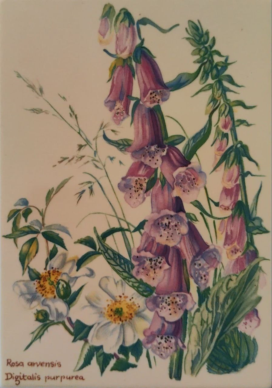 Stara porcelanowa pocztówka Villeroy & Boch. Fotografka, kolekcjonerka starych pocztówek i twórczyni opowieści na styku przeszłości i życia osobistego. Irina Dainakova