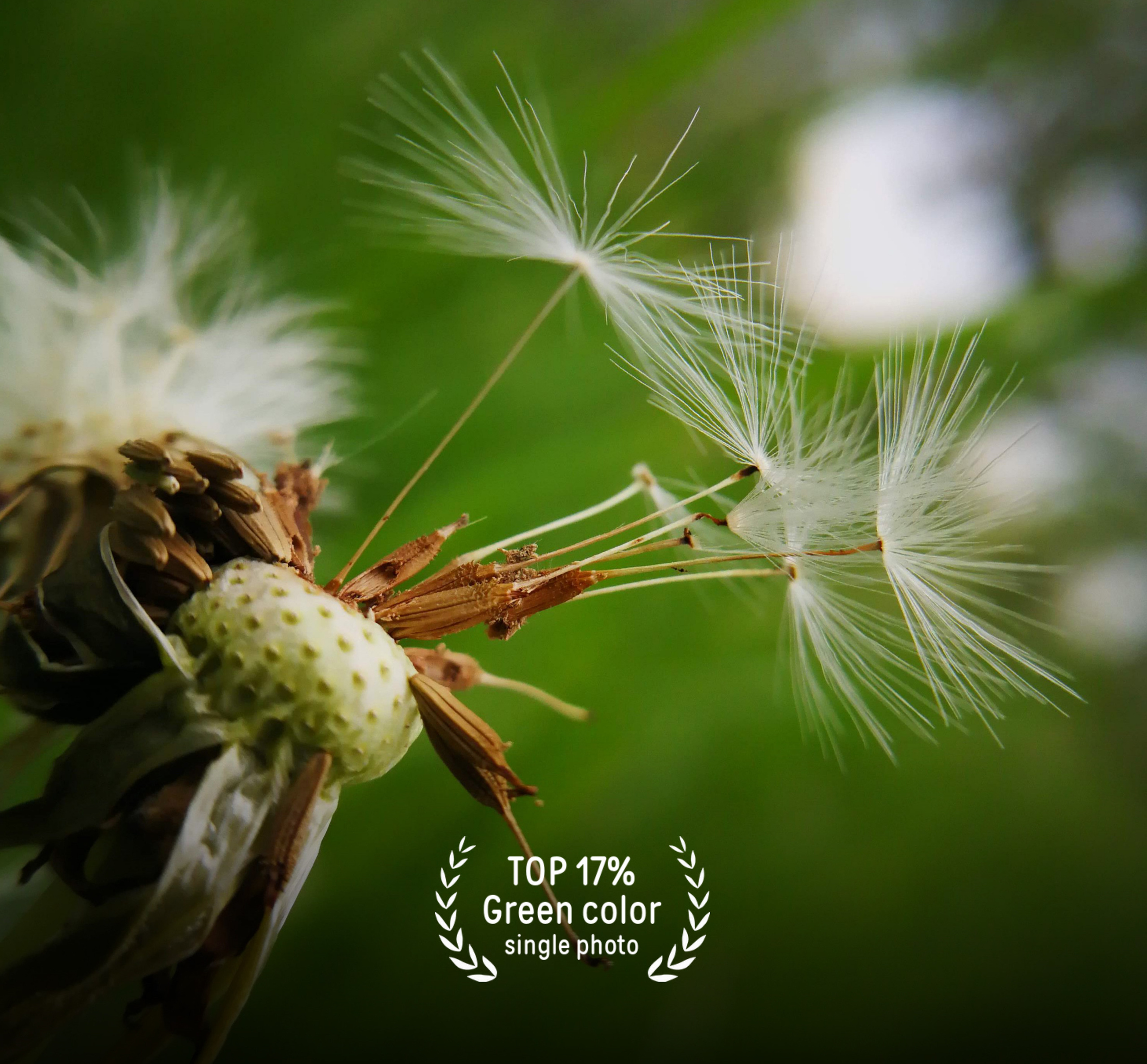 PRIZES. Nina Janeckova Fotografin und Videografin am Bodensee