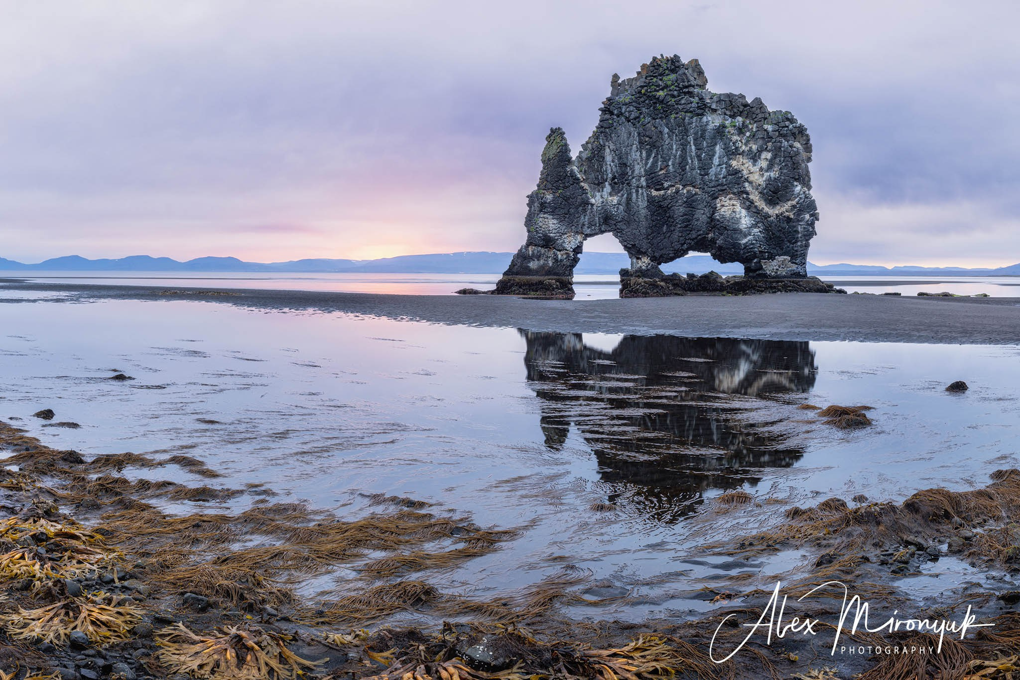 Unforgettable Iceland. Pet, Senior, Landscape, portrait studio, photographer in Miami and Sou
