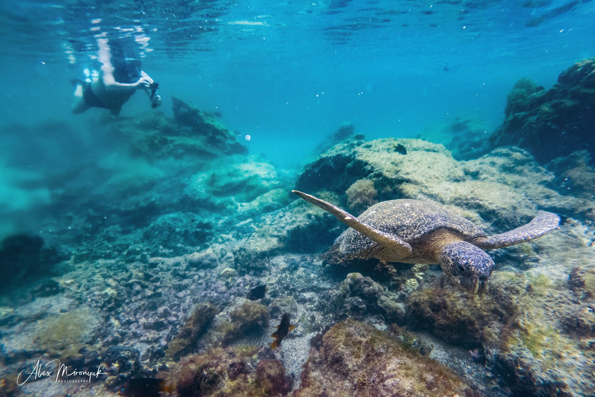 Galapagos Islands Adventure. Pet, Senior, Landscape, portrait studio, photographer in Miami and Sou