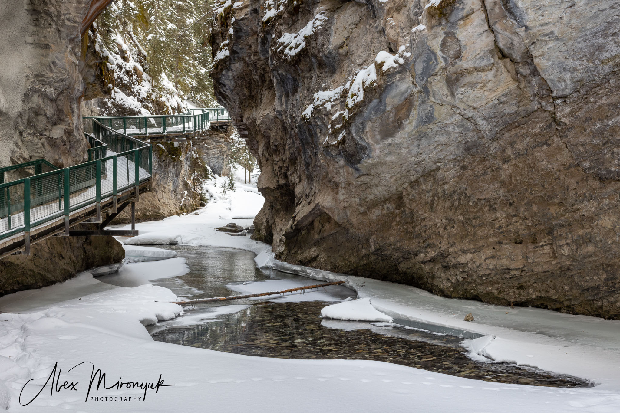 Photographing Winter Wonderland — Canada. Alex Mironyuk Photography