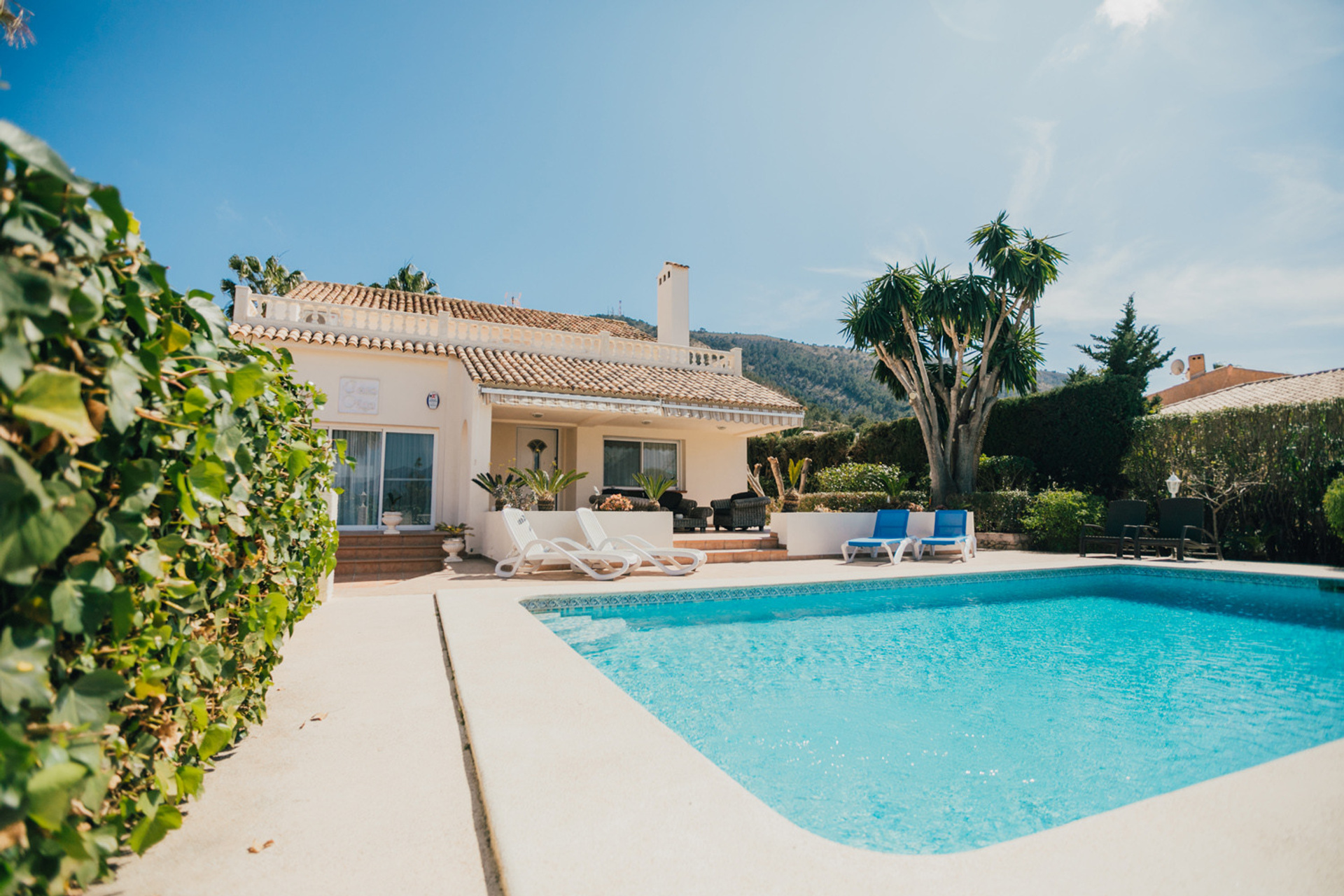 Business photo Real estate agency Albir