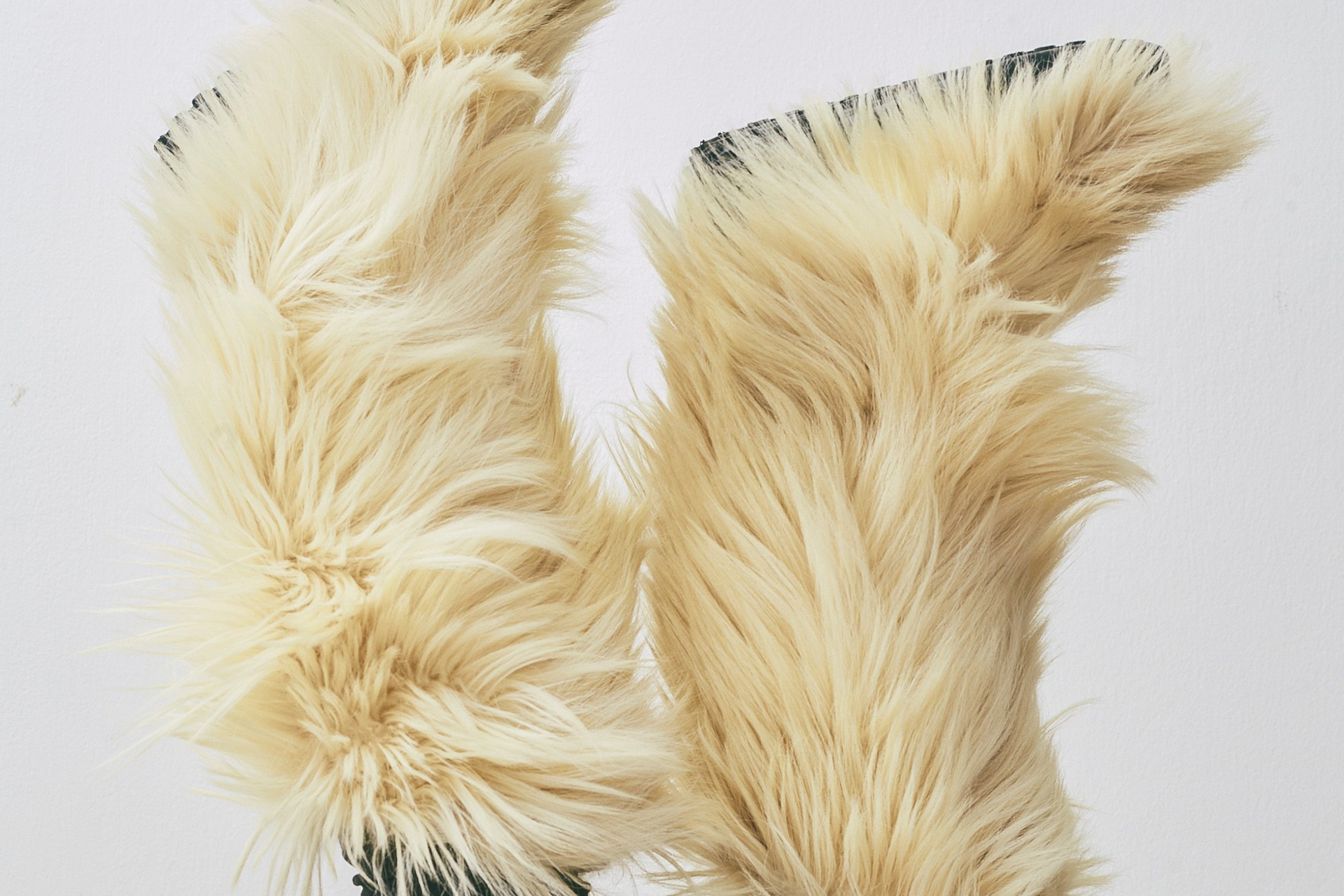 Accessories / Shoes / Bags