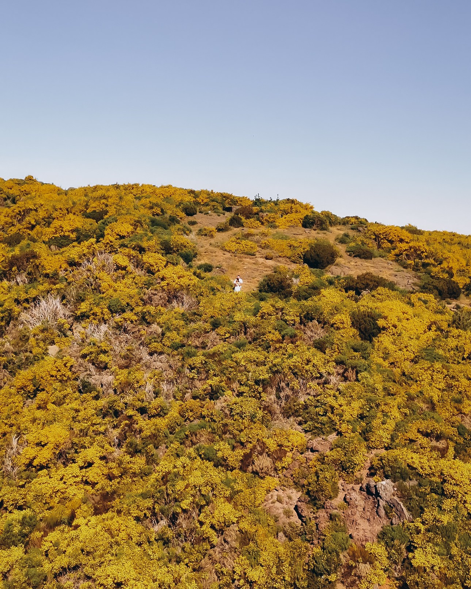Proposal in Pico do Arieiro