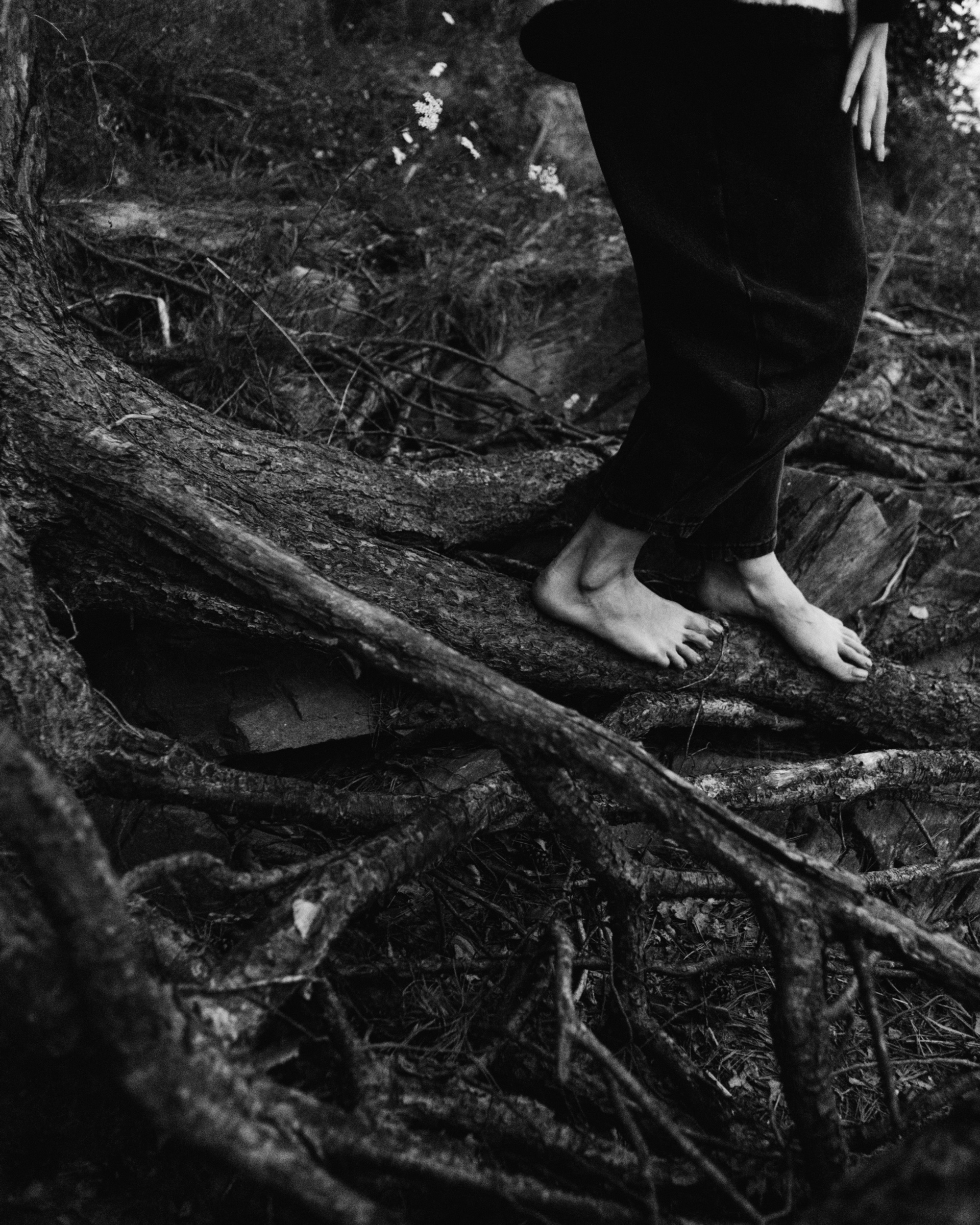 #1 blended in with nature