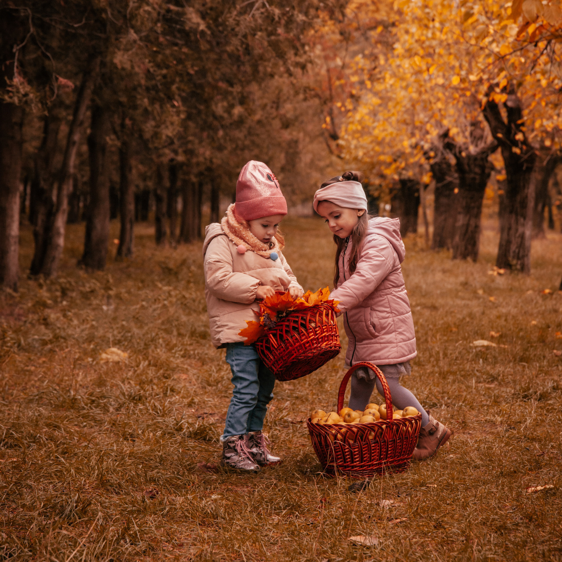 Фото видео молдова бельцы. Фото видео в молдове