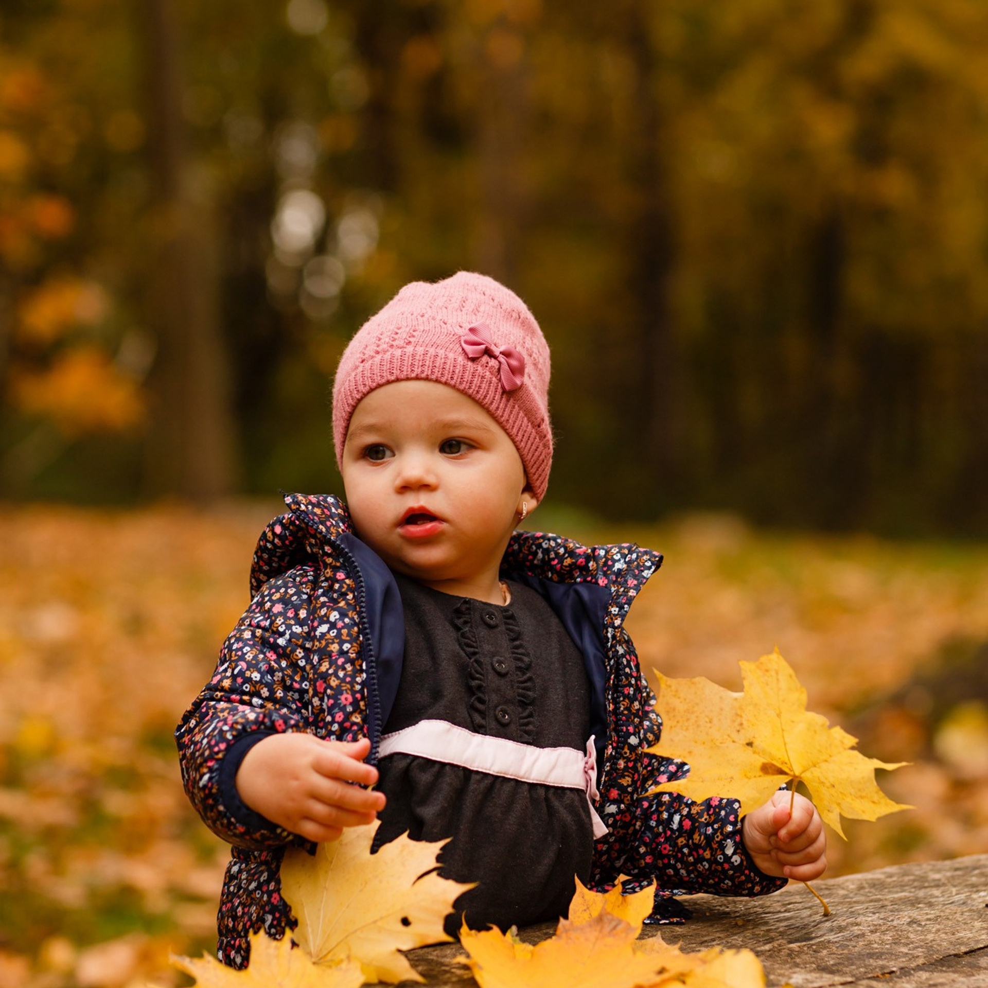 Відгуки. Фотограф в Чернівцях, Фотограф Чернівці