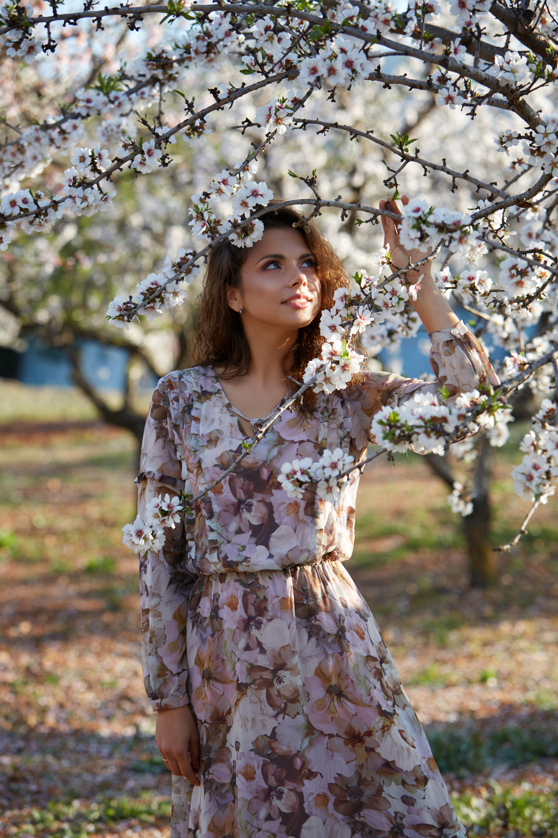 СЕРИИ. ГЛАВНАЯ